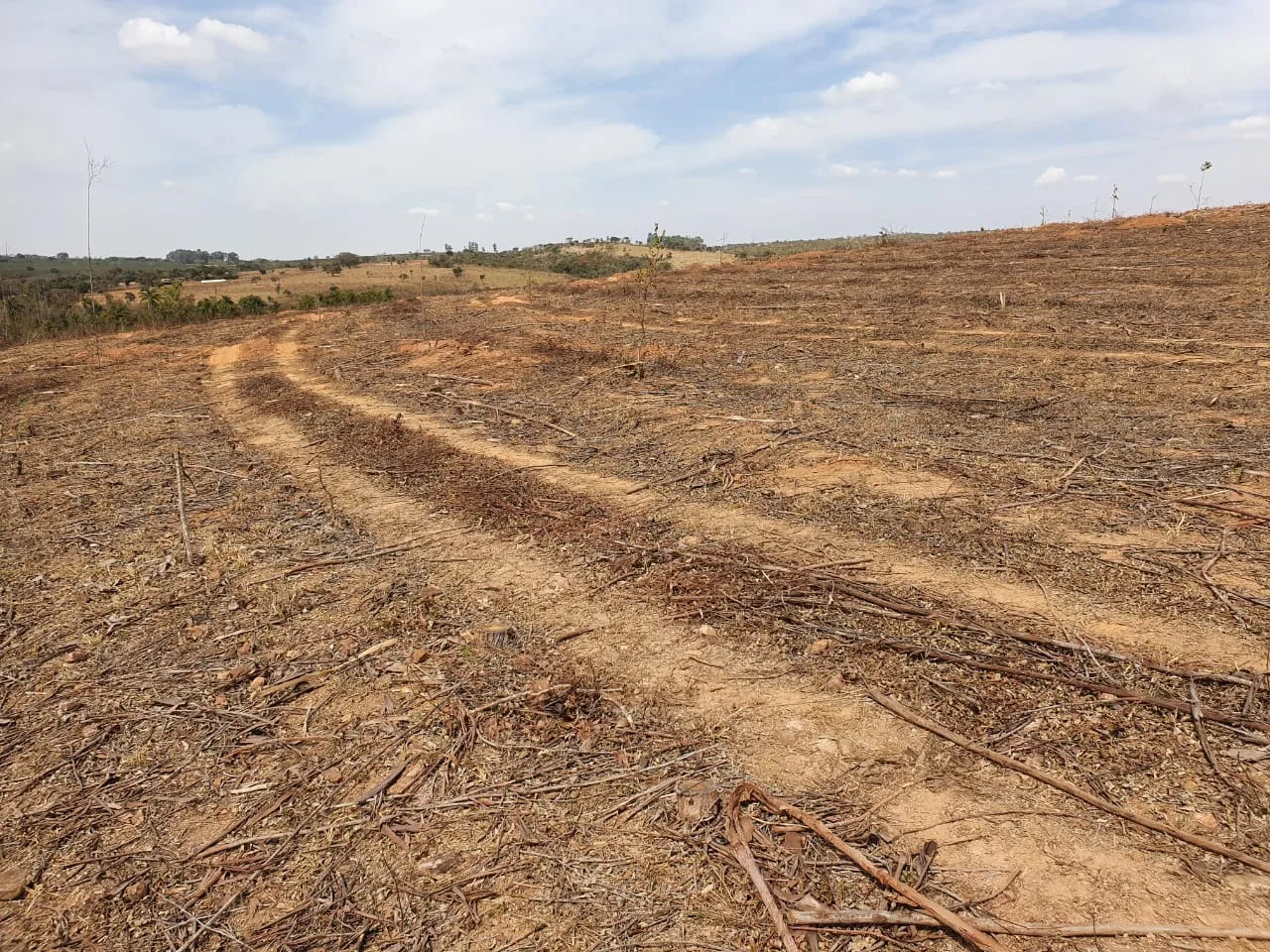 Fazenda Para Gado E Plantio Entre Coromandel E Patrocinio