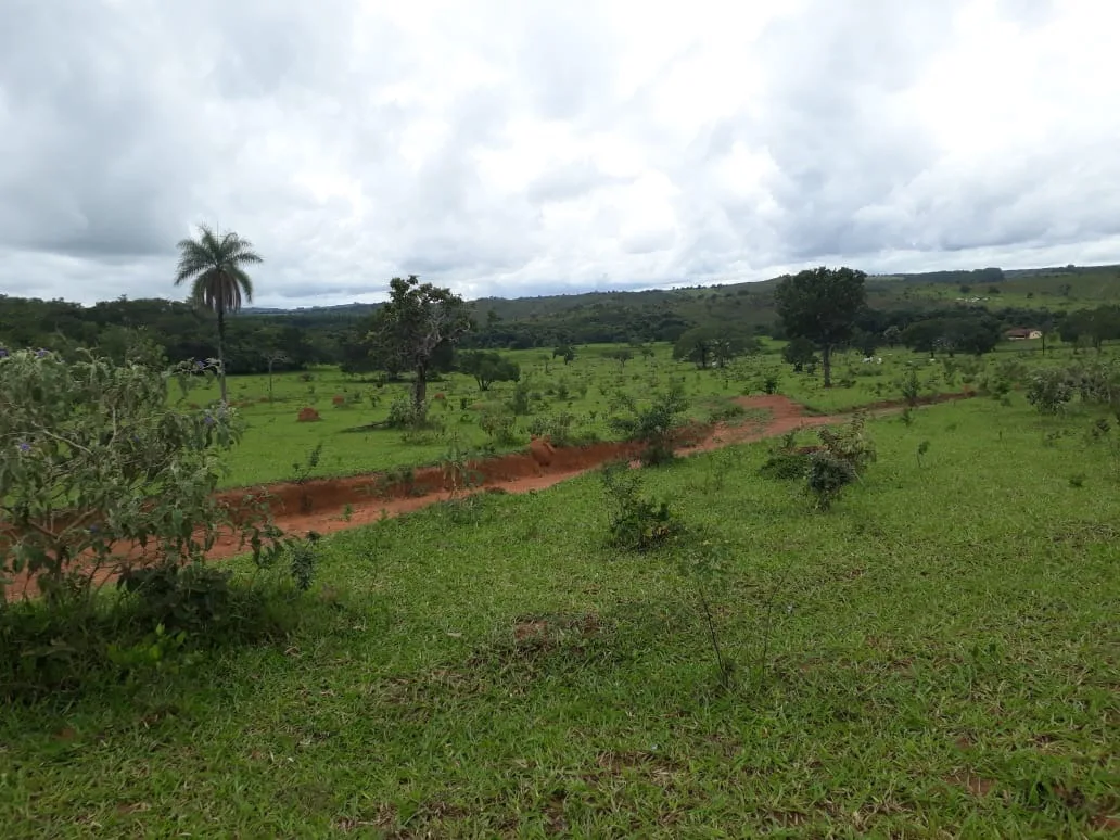 Fazenda Para Gado E Plantio Entre Coromandel E Patrocinio