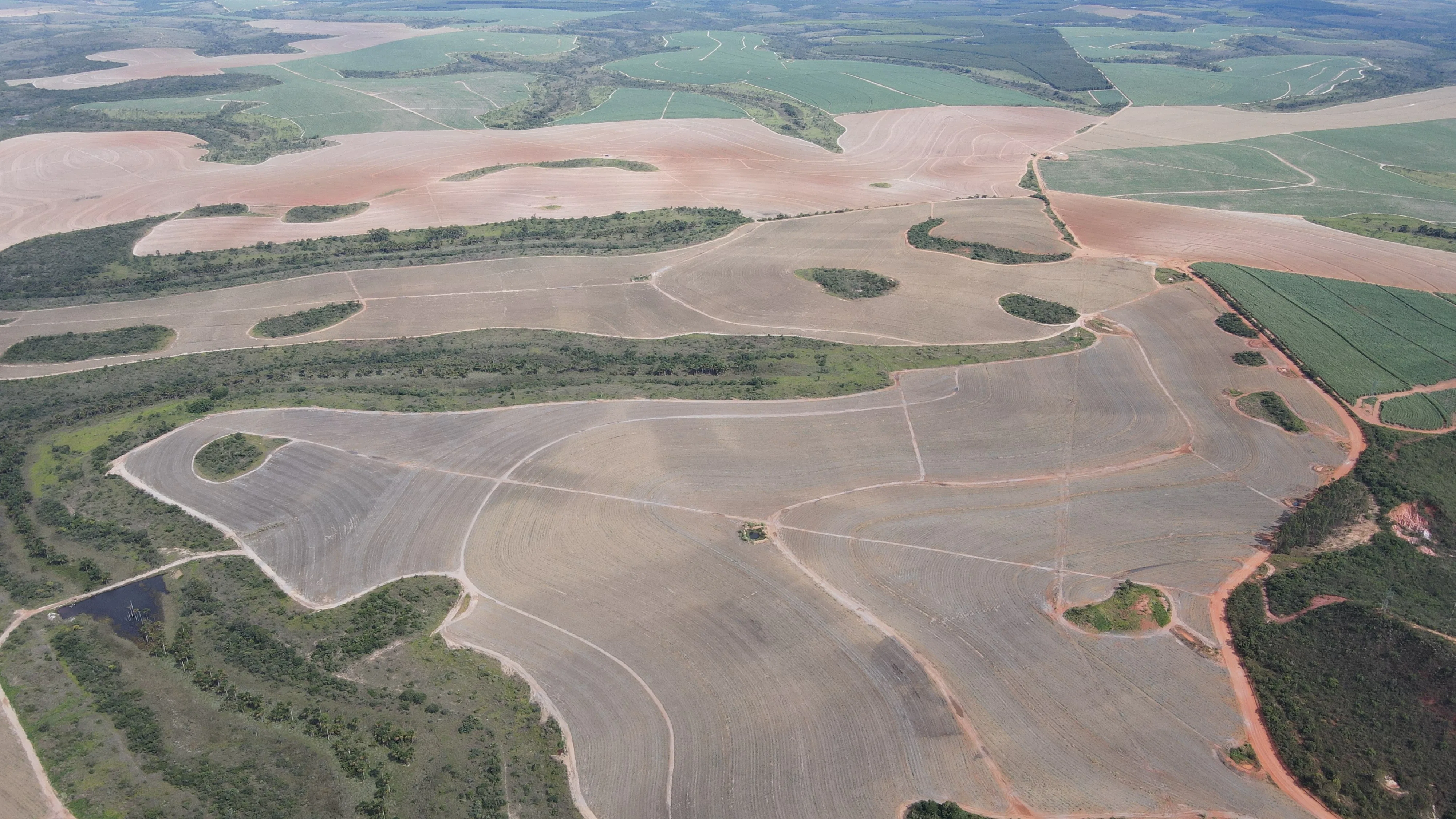 Fazenda Canavieira Em Veredas, Município De João Pinheiro