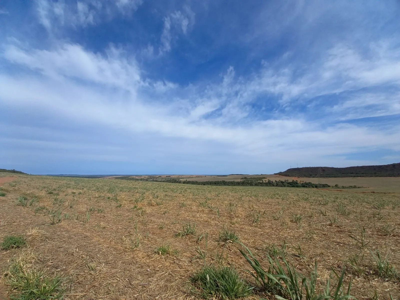 Fazenda Canavieira Em Veredas, Município De João Pinheiro