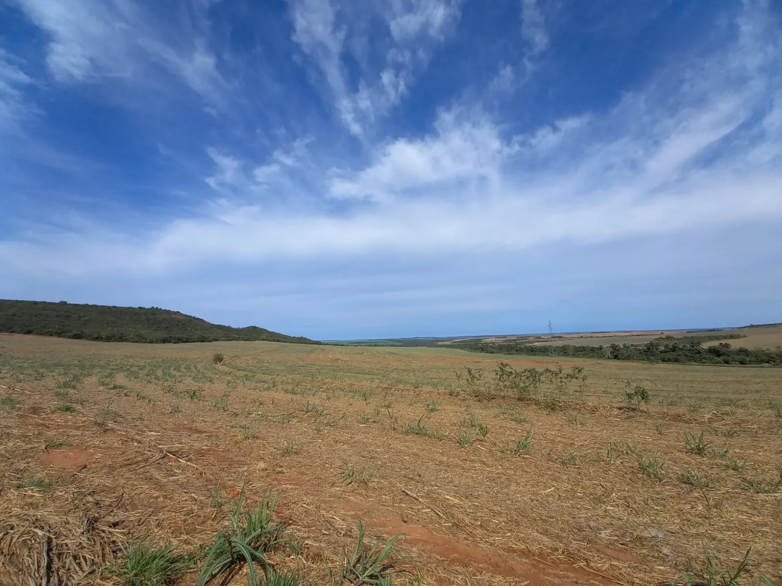 Fazenda Canavieira Em Veredas, Município De João Pinheiro