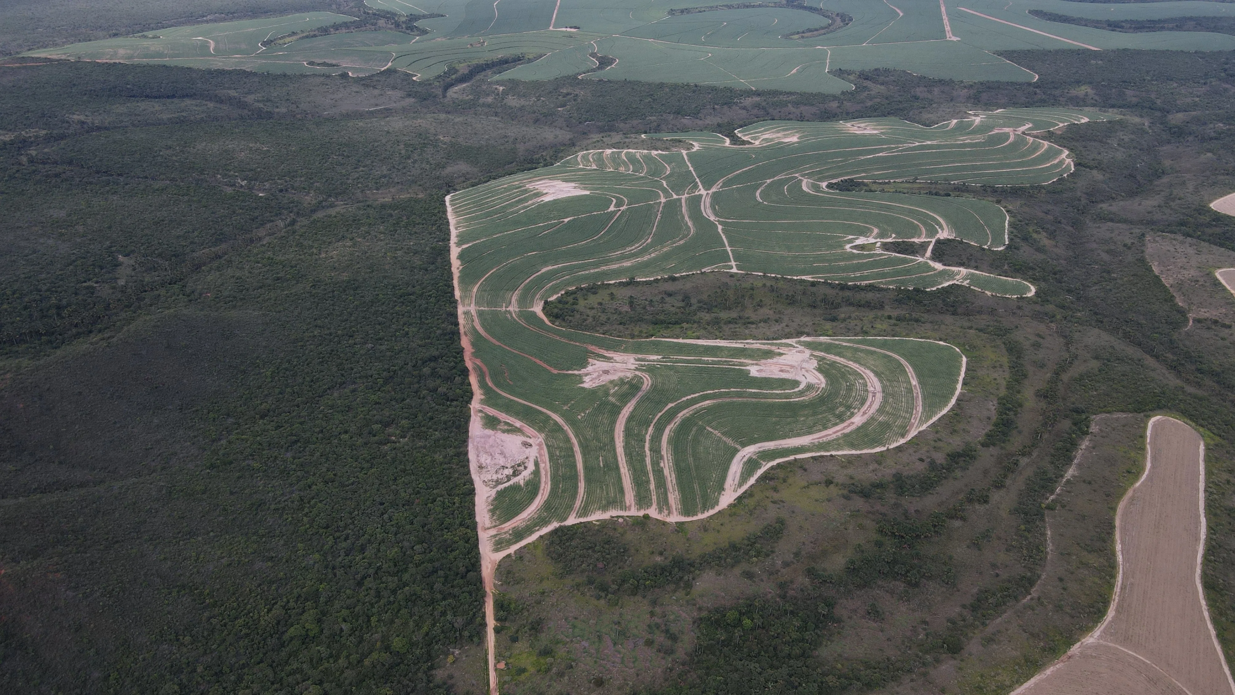 Fazenda Canavieira Em Veredas, Município De João Pinheiro