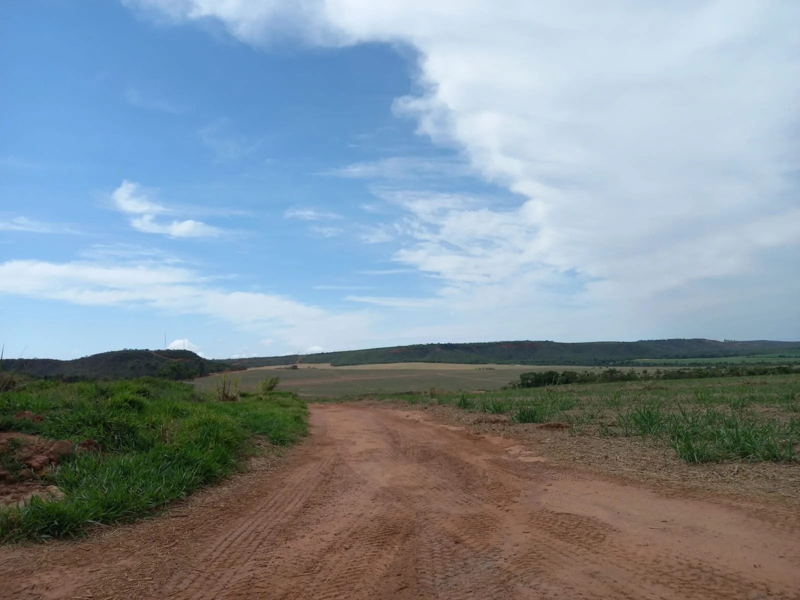Fazenda Canavieira Em Veredas, Município De João Pinheiro