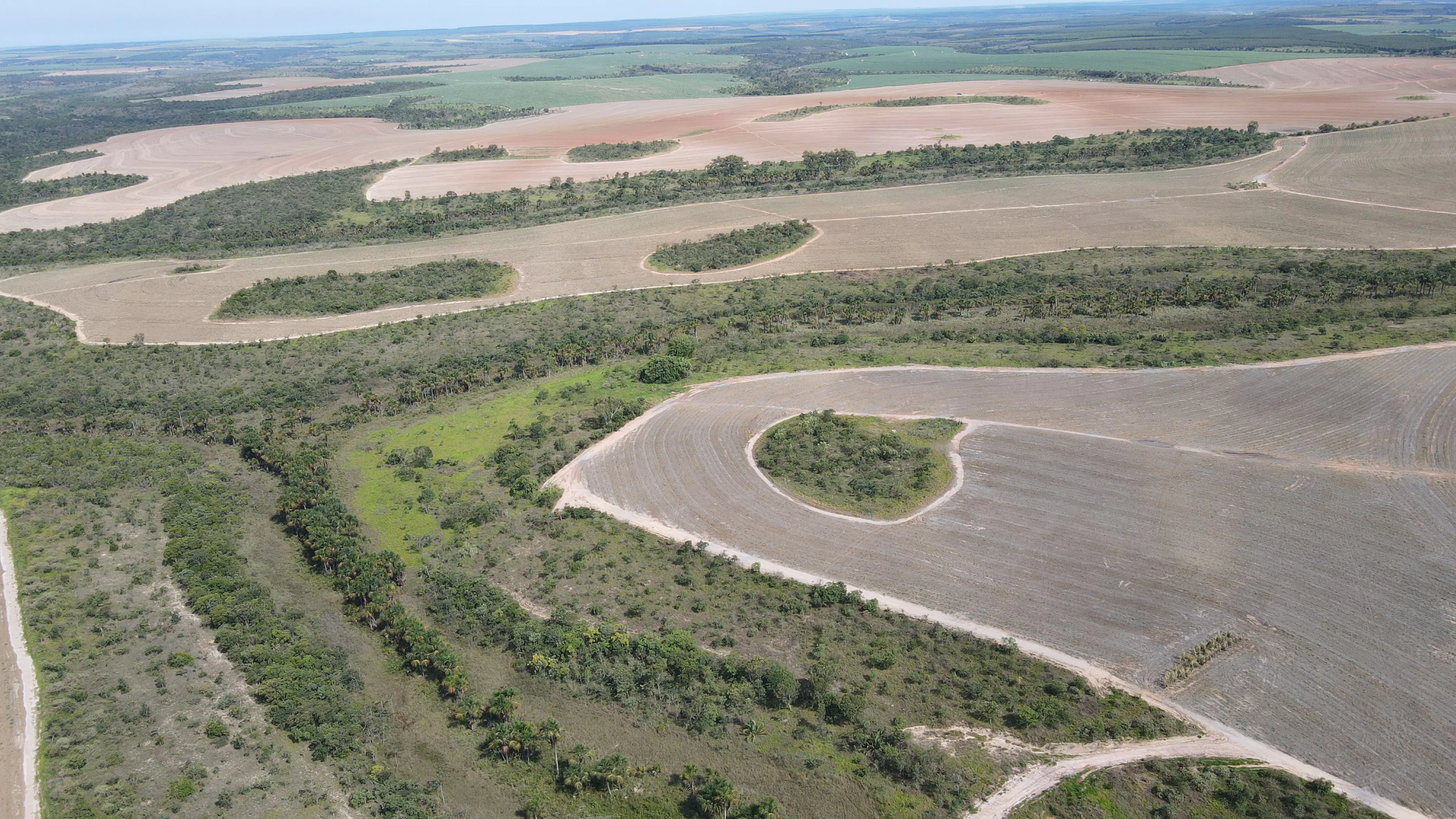 Fazenda Canavieira Em Veredas, Município De João Pinheiro