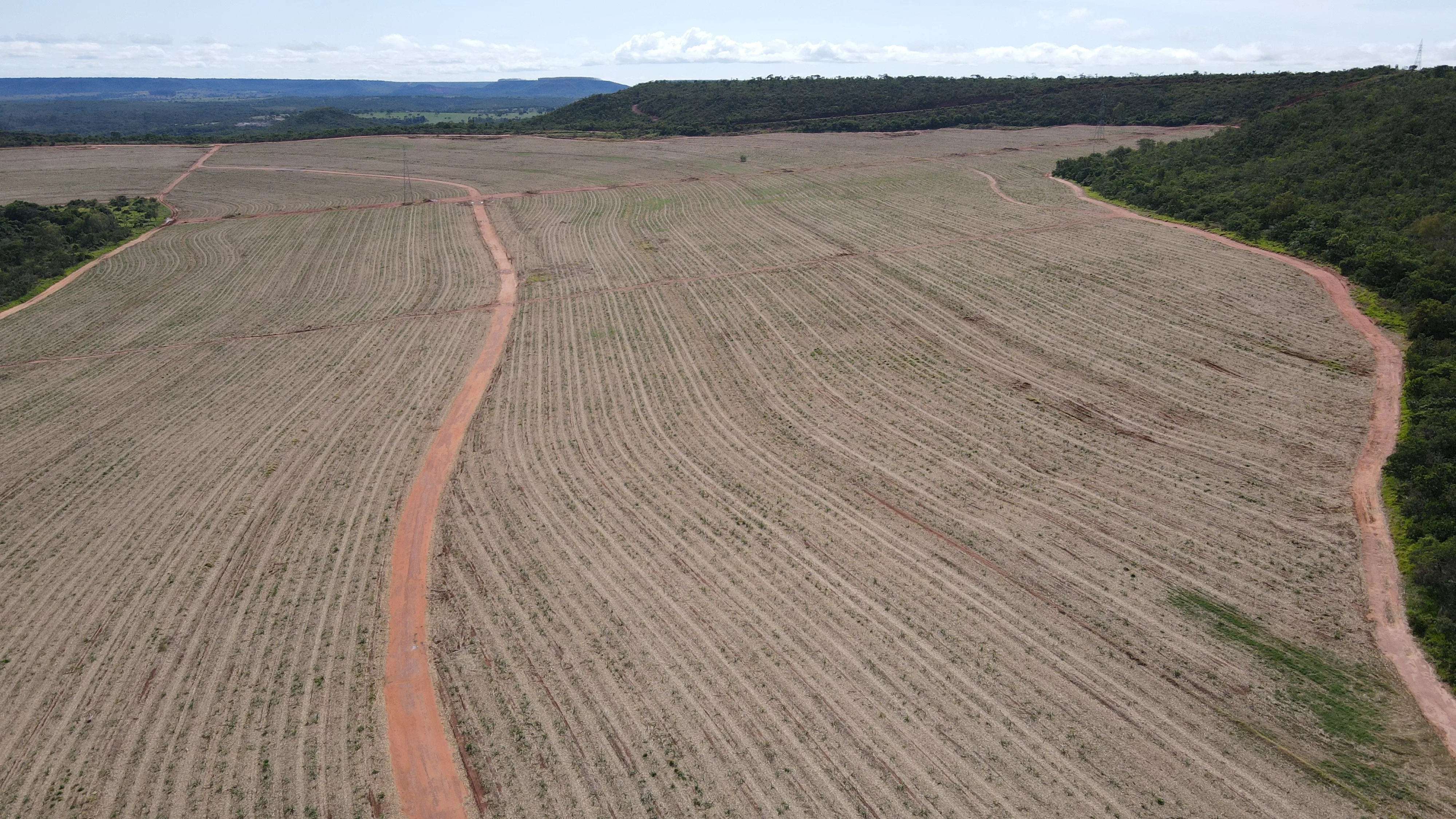Fazenda Canavieira Em Veredas, Município De João Pinheiro