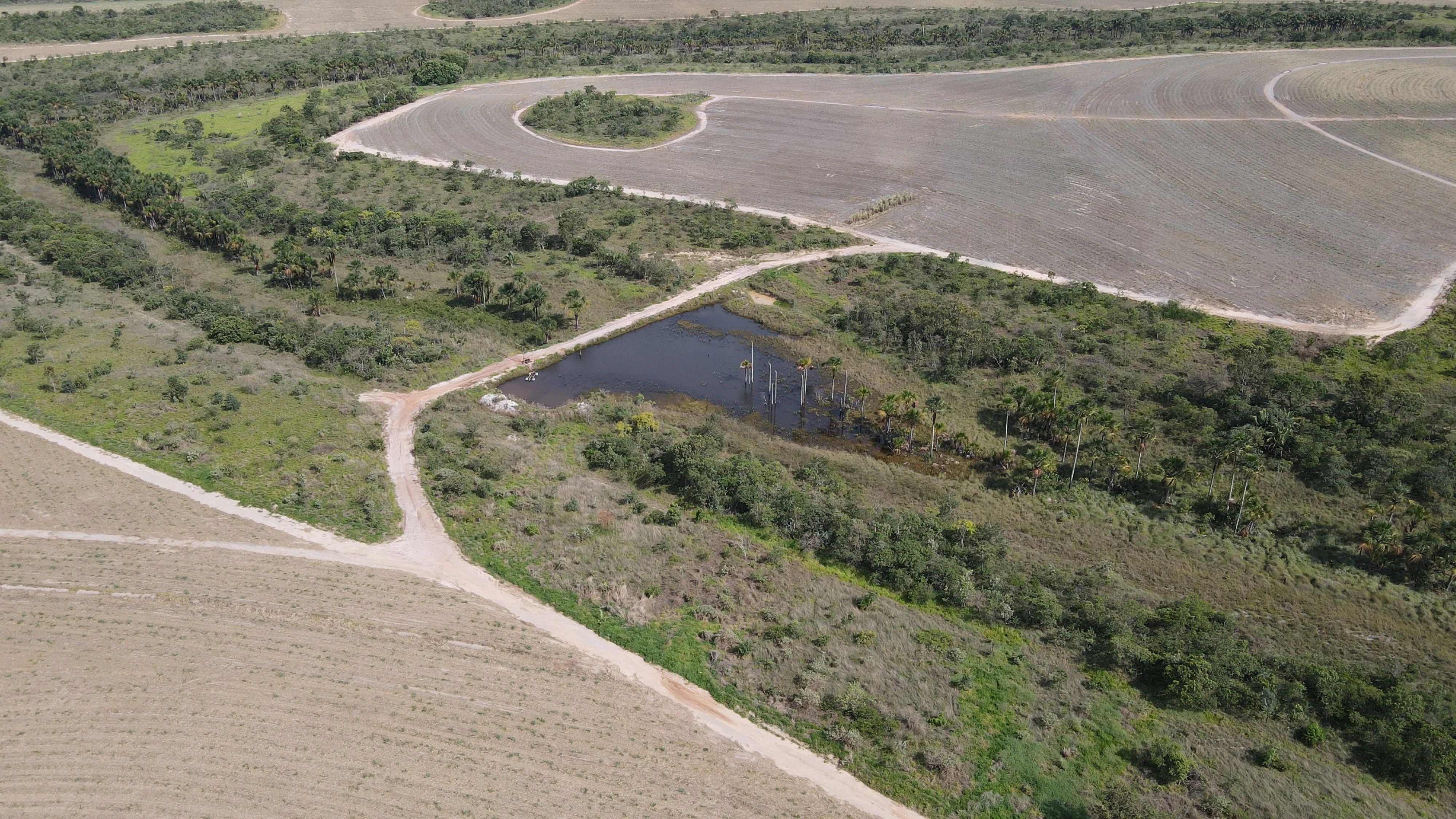 Fazenda Canavieira Em Veredas, Município De João Pinheiro
