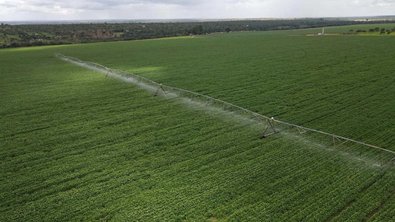 Fazenda Com Pivôs Em João Pinheiro / Mg