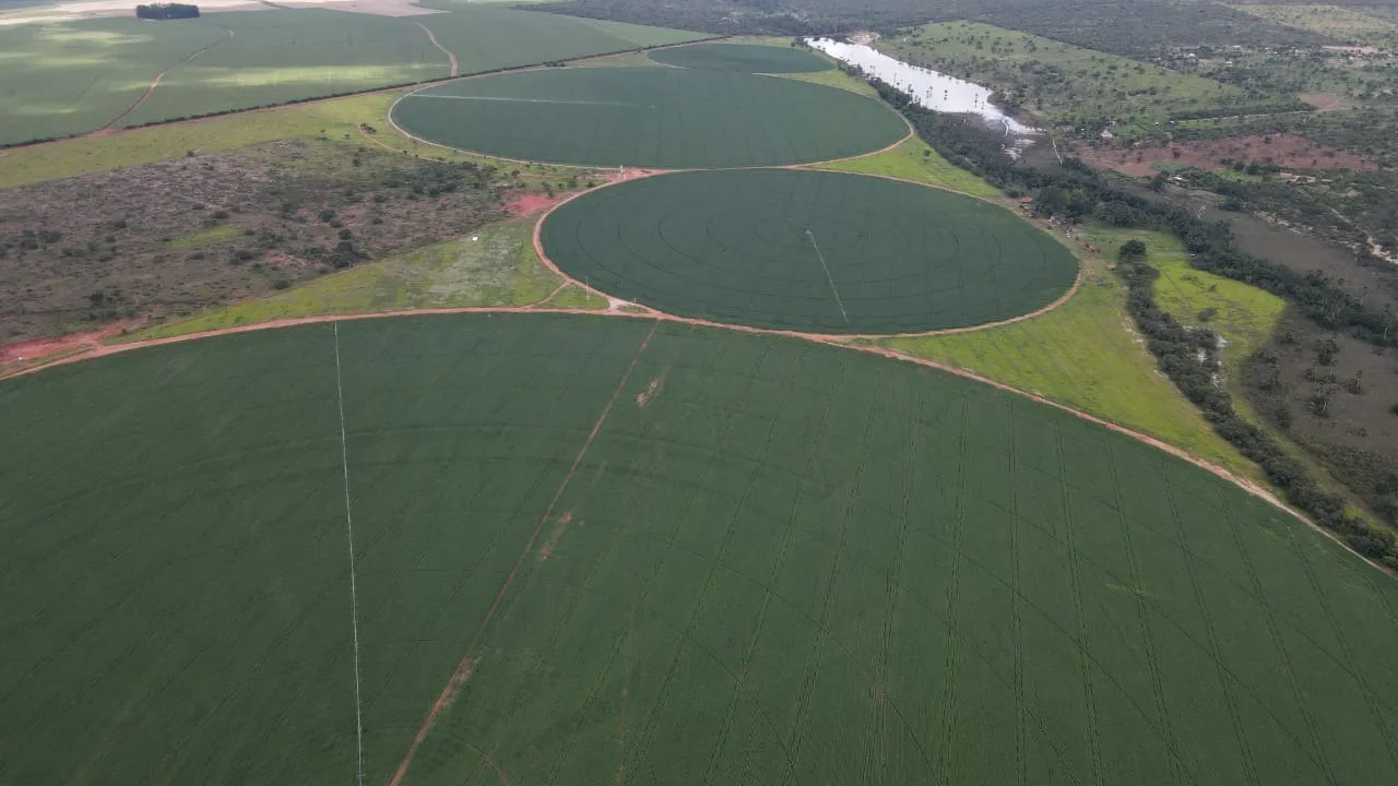 Fazenda Com Pivôs Em João Pinheiro / Mg