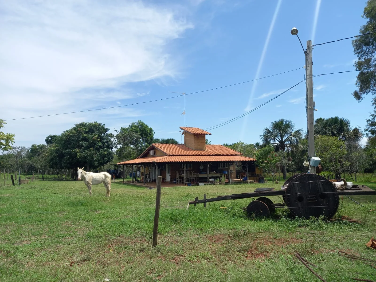 Fazenda Com Pivôs Em João Pinheiro / Mg