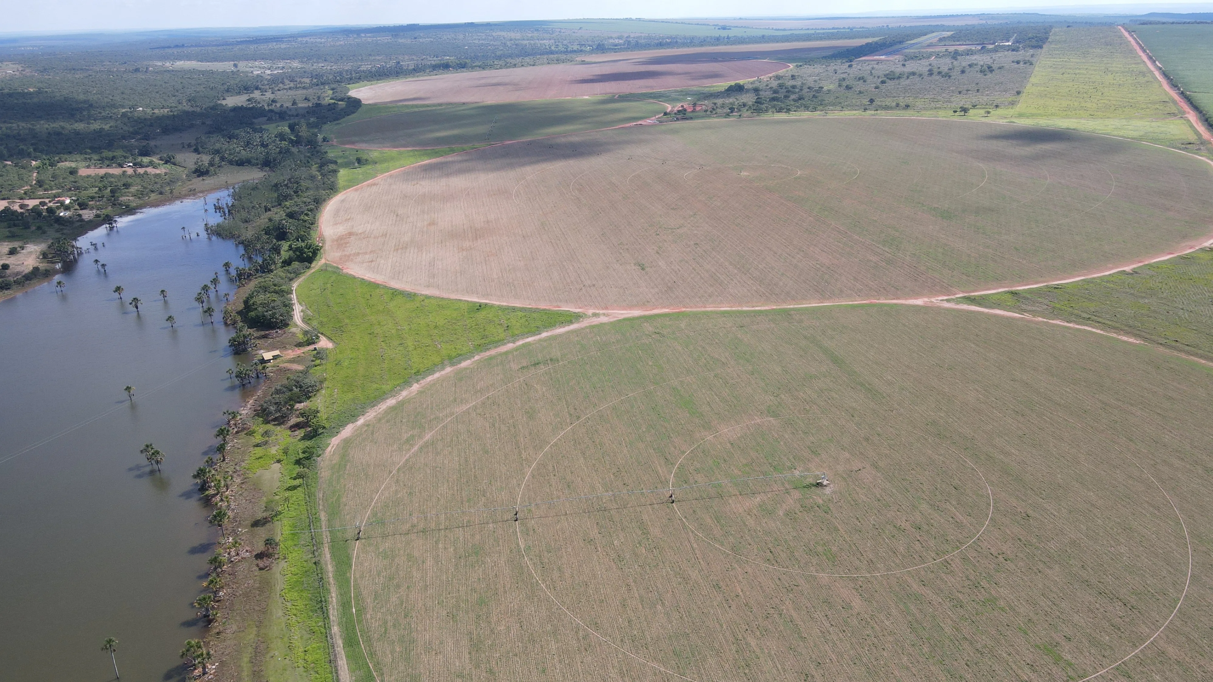 Fazenda Com Pivôs Em João Pinheiro / Mg