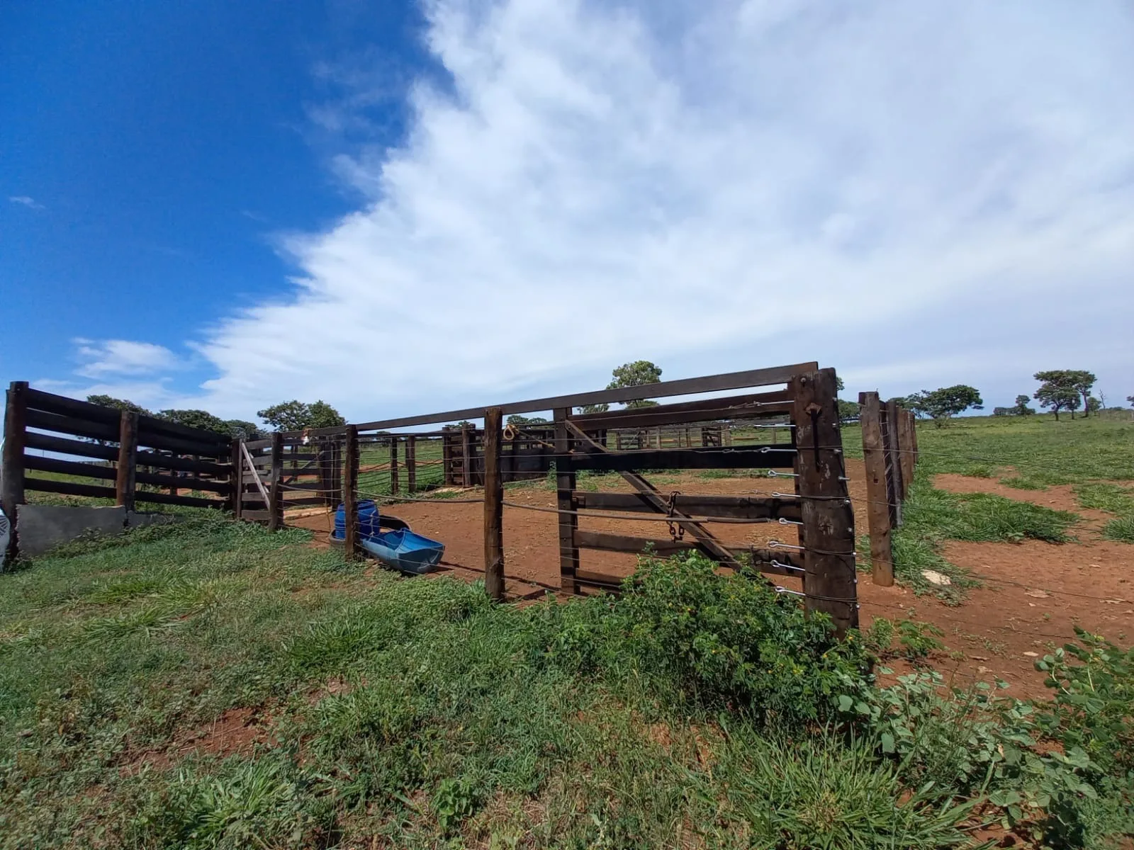 Fazenda Com Pivôs Em João Pinheiro / Mg