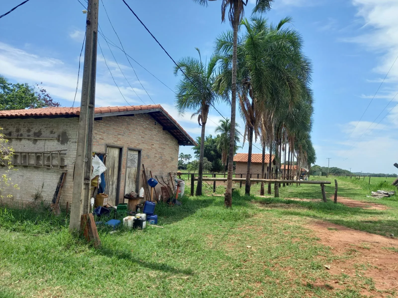 Fazenda Com Pivôs Em João Pinheiro / Mg