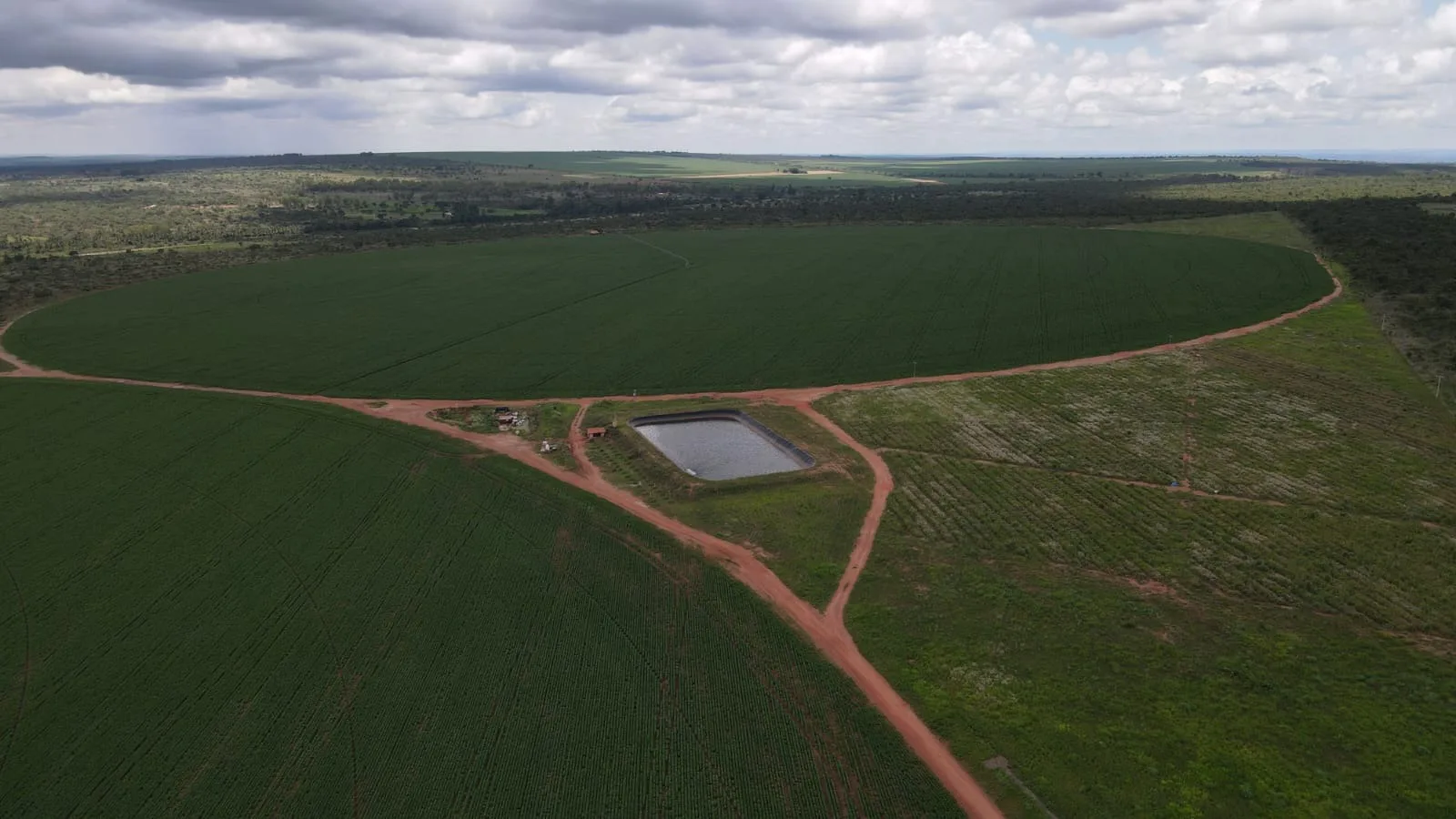 Fazenda Com Pivôs Em João Pinheiro / Mg