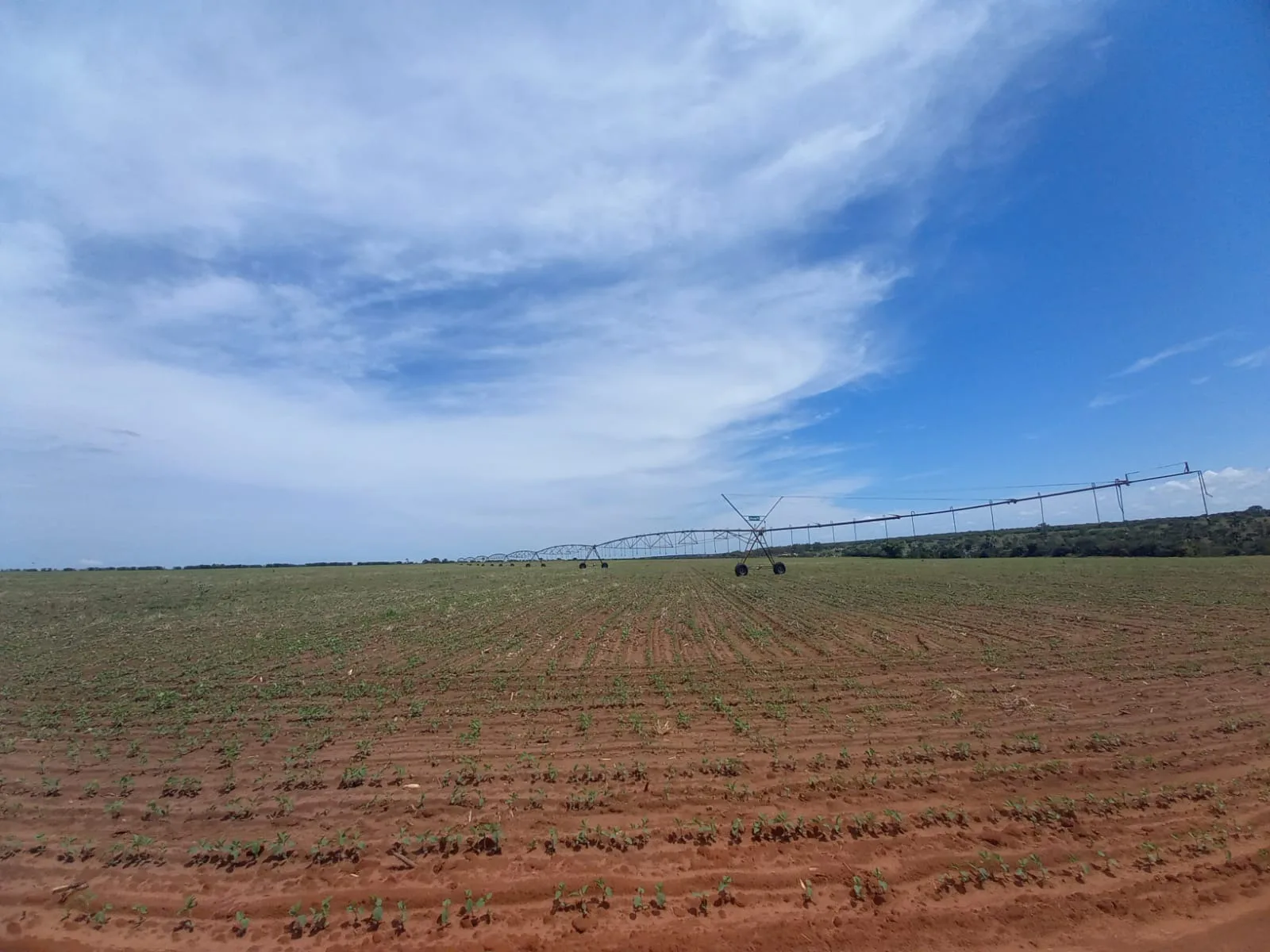 Fazenda Com Pivôs Em João Pinheiro / Mg