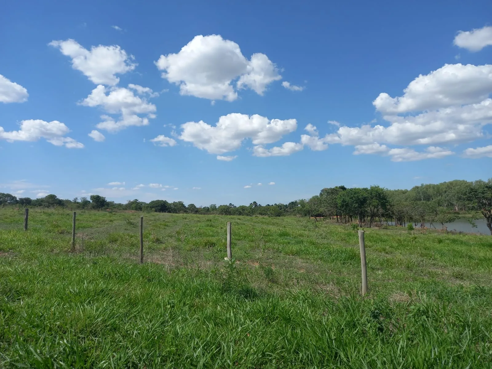 Fazenda Com Pivôs Em João Pinheiro / Mg