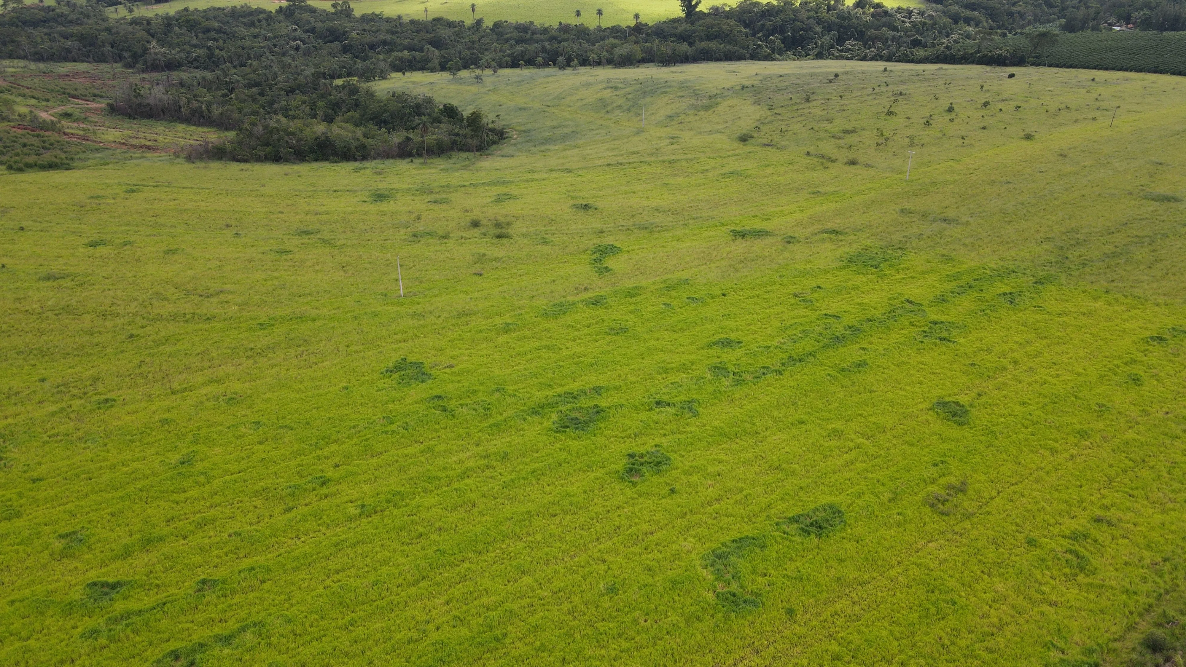 FAZENDA em MOREIRAS, PATROCÍNIO - FA00206