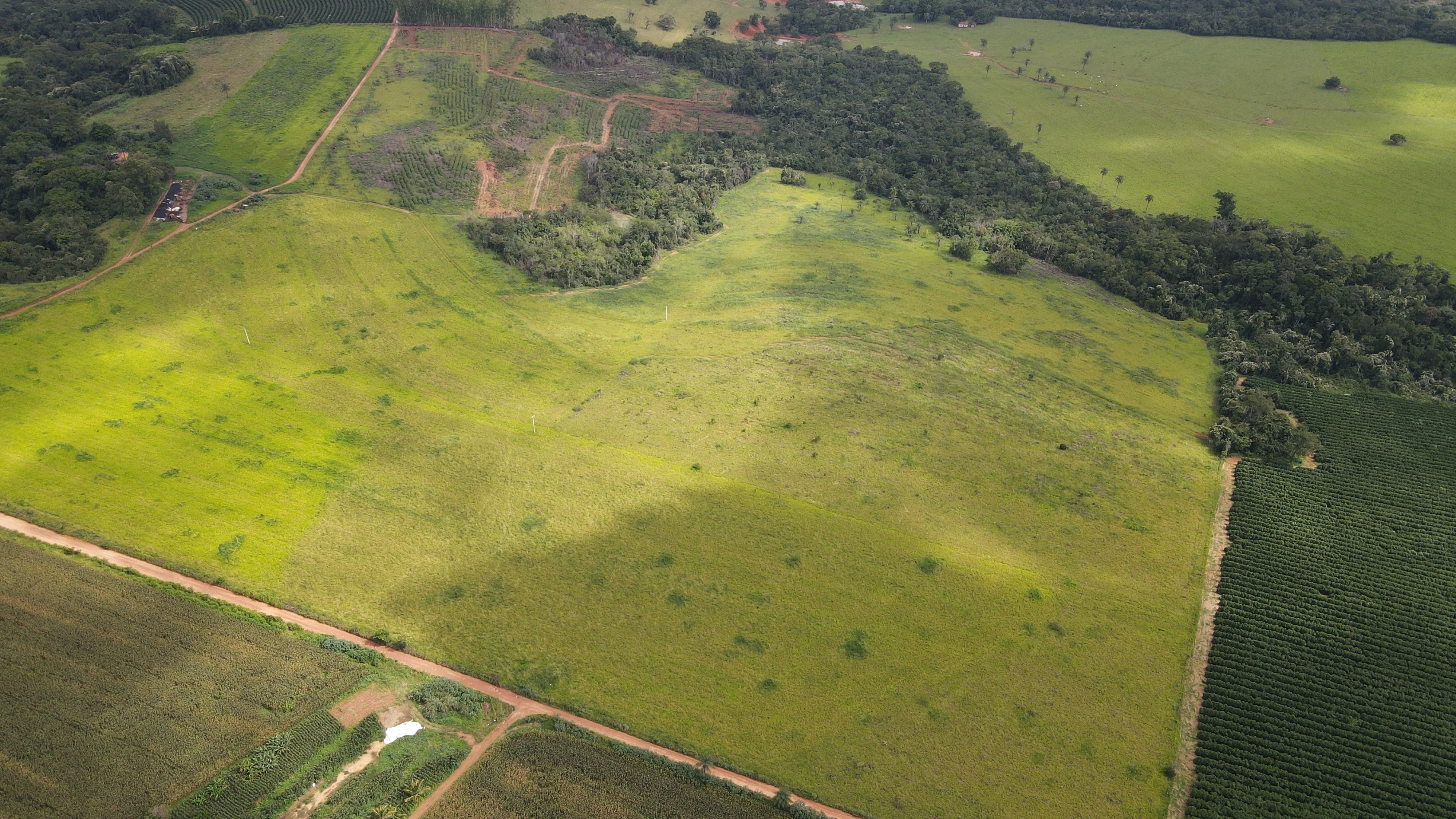 FAZENDA em MOREIRAS, PATROCÍNIO - FA00206