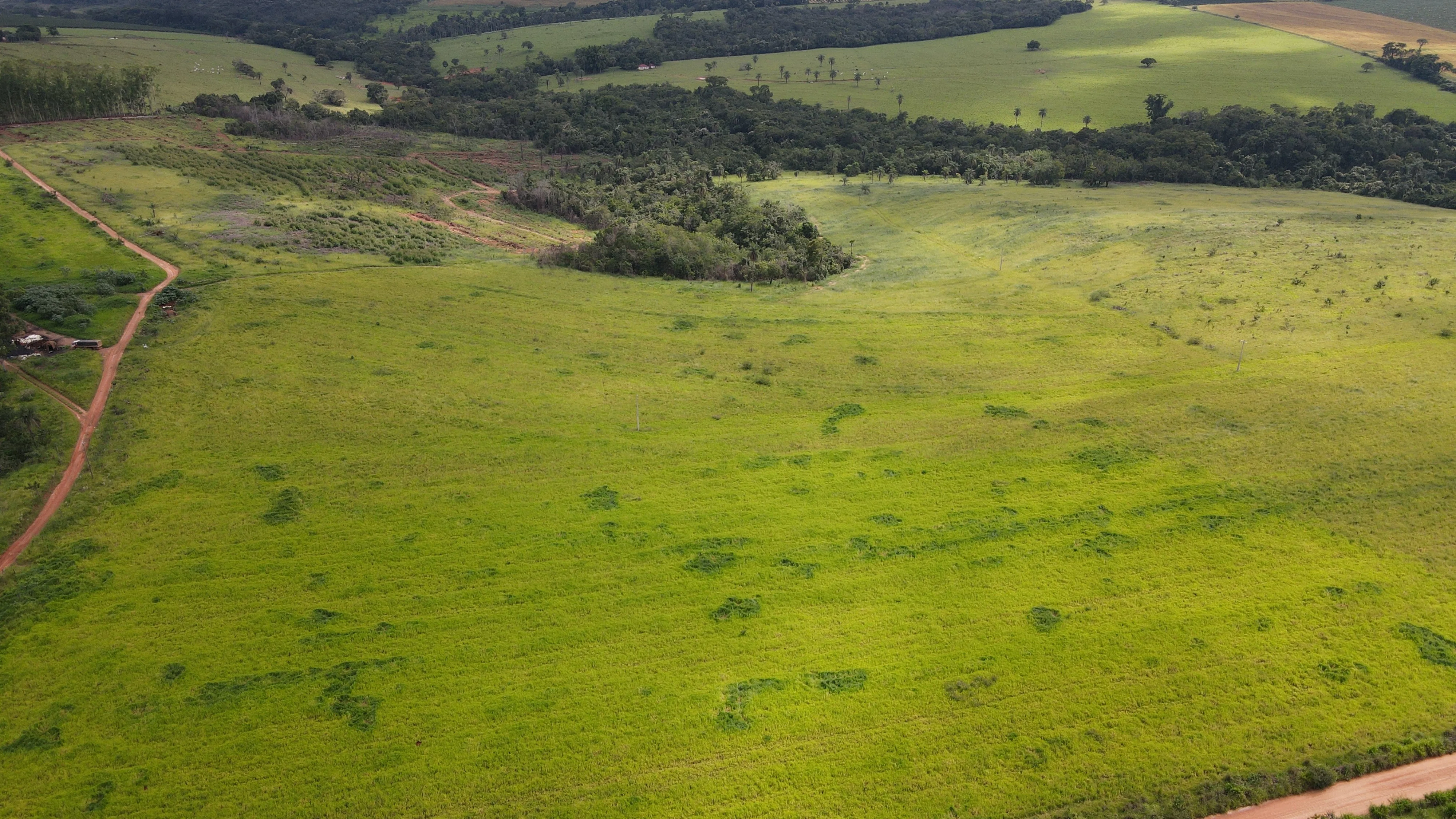 FAZENDA em MOREIRAS, PATROCÍNIO - FA00206