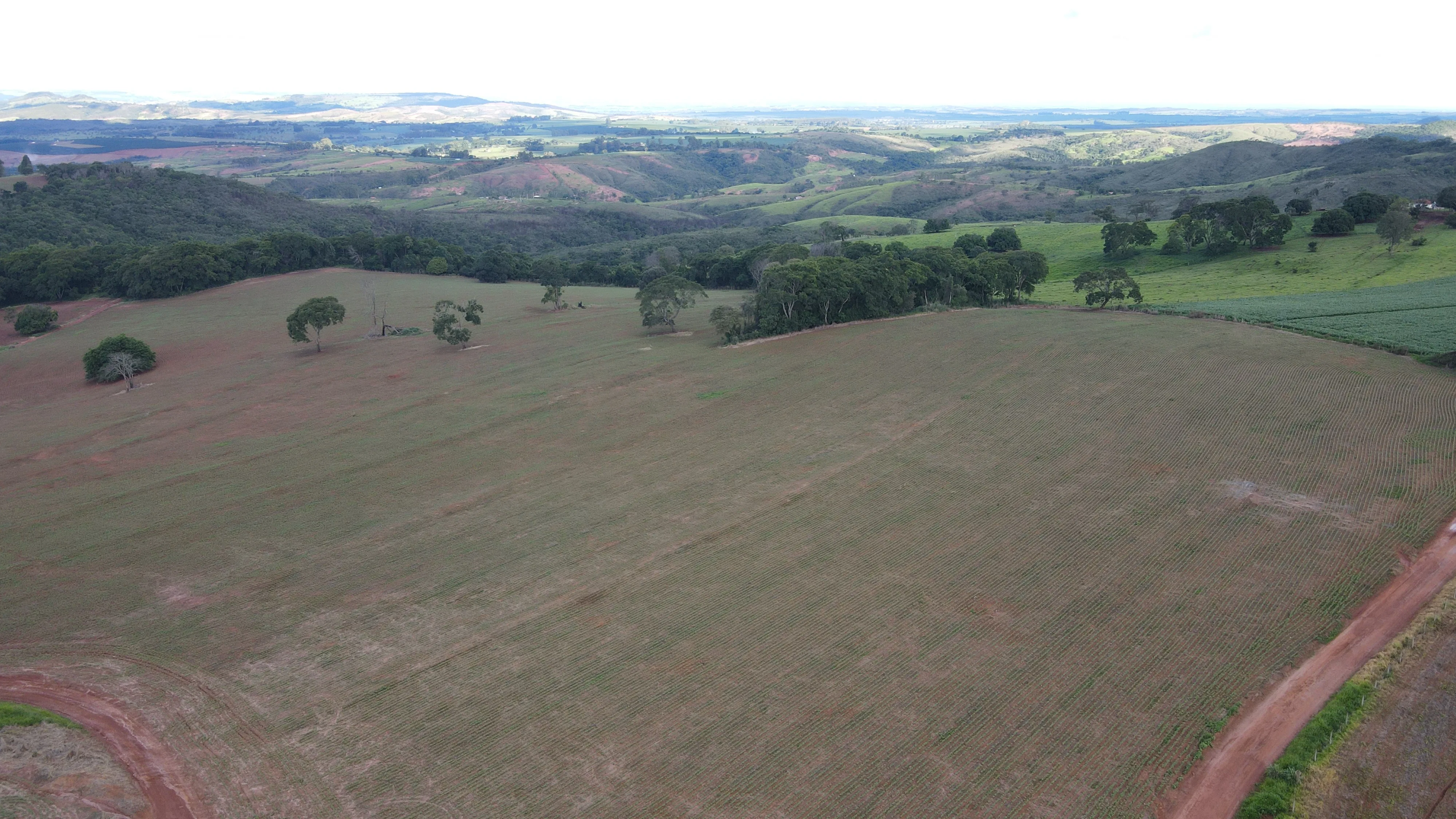 FAZENDA em PANTANO, PATOS DE MINAS - FA00166