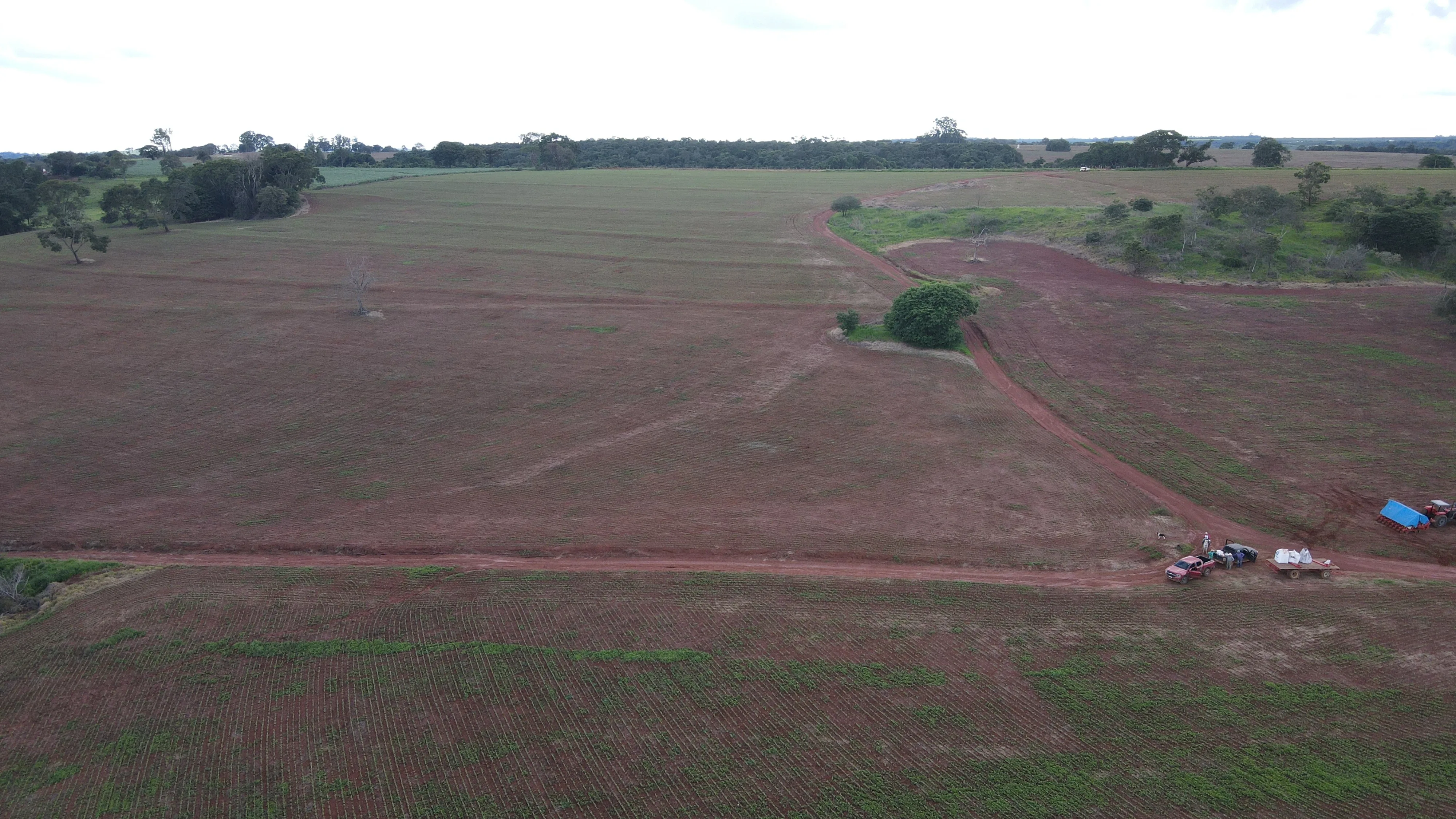 FAZENDA em PANTANO, PATOS DE MINAS - FA00166