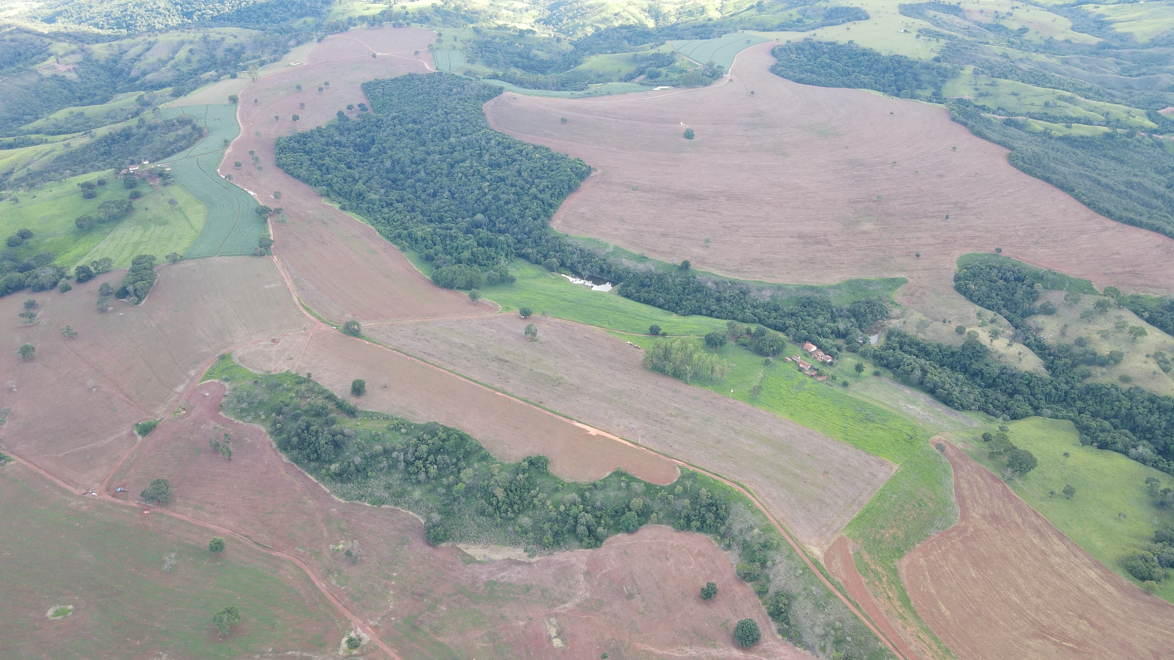 FAZENDA em PANTANO, PATOS DE MINAS - FA00166
