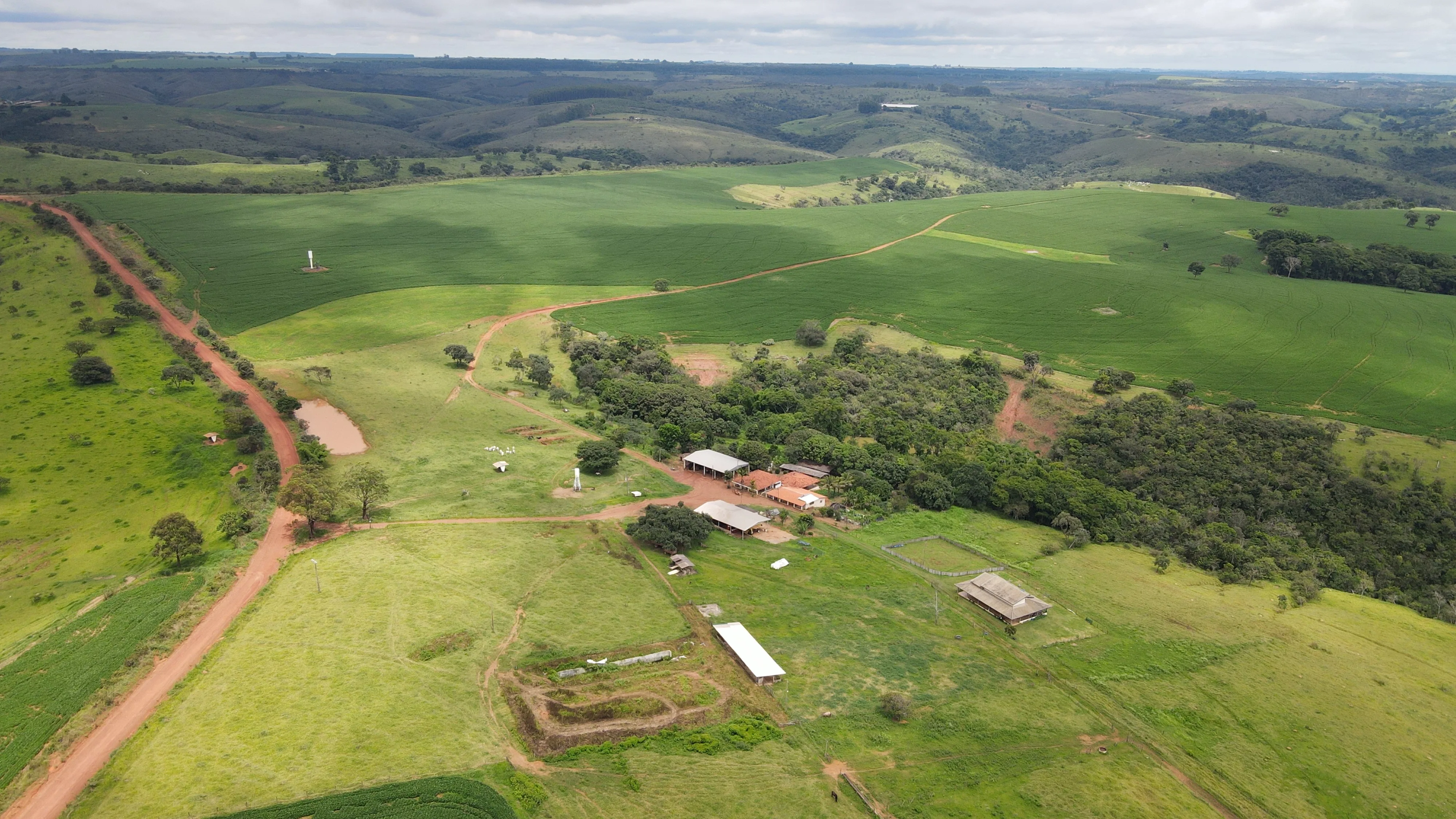 FAZENDA em PANTANO, PATOS DE MINAS - FA00167