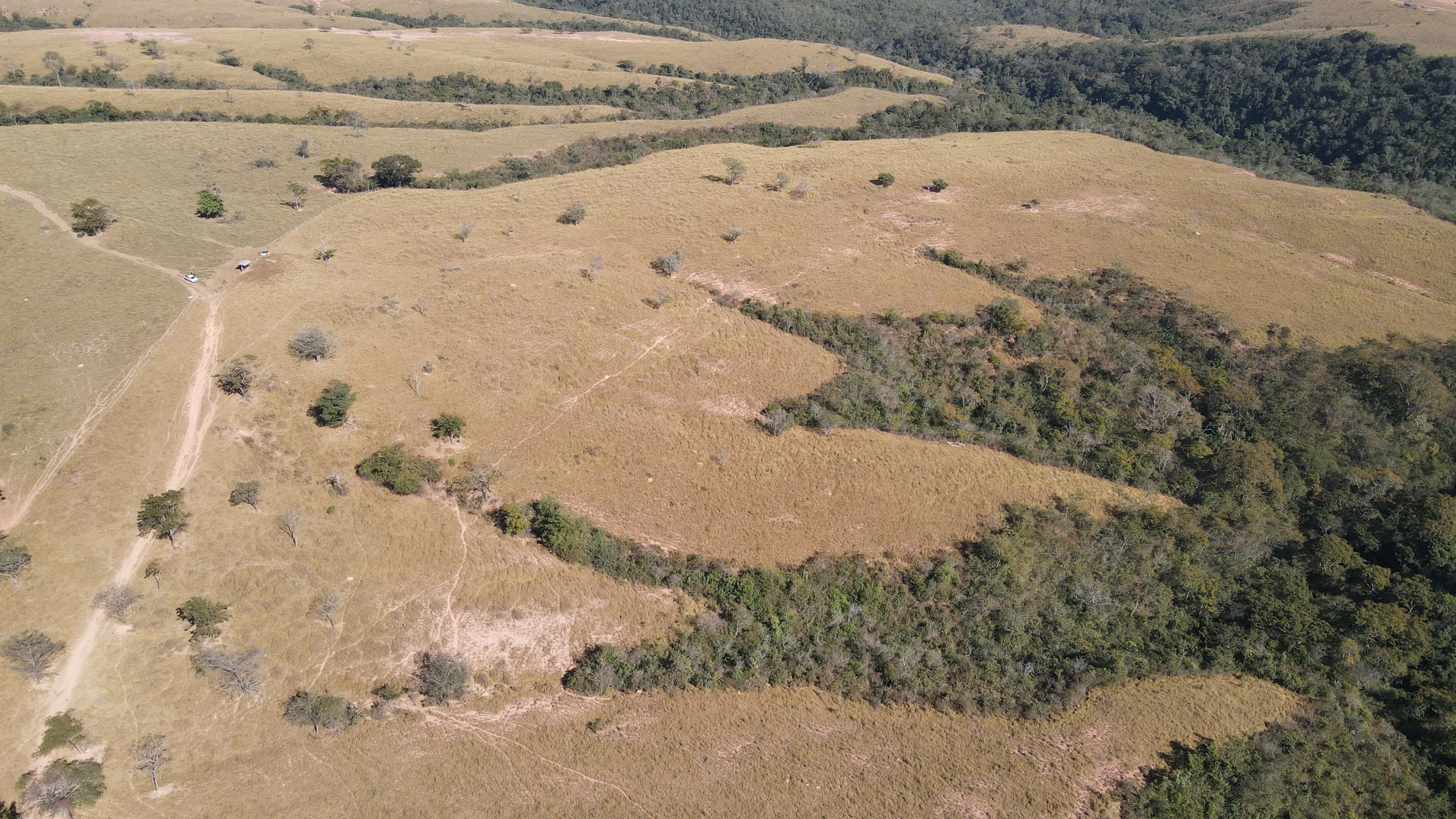 FAZENDA em PANTANO, PATOS DE MINAS - FA00190