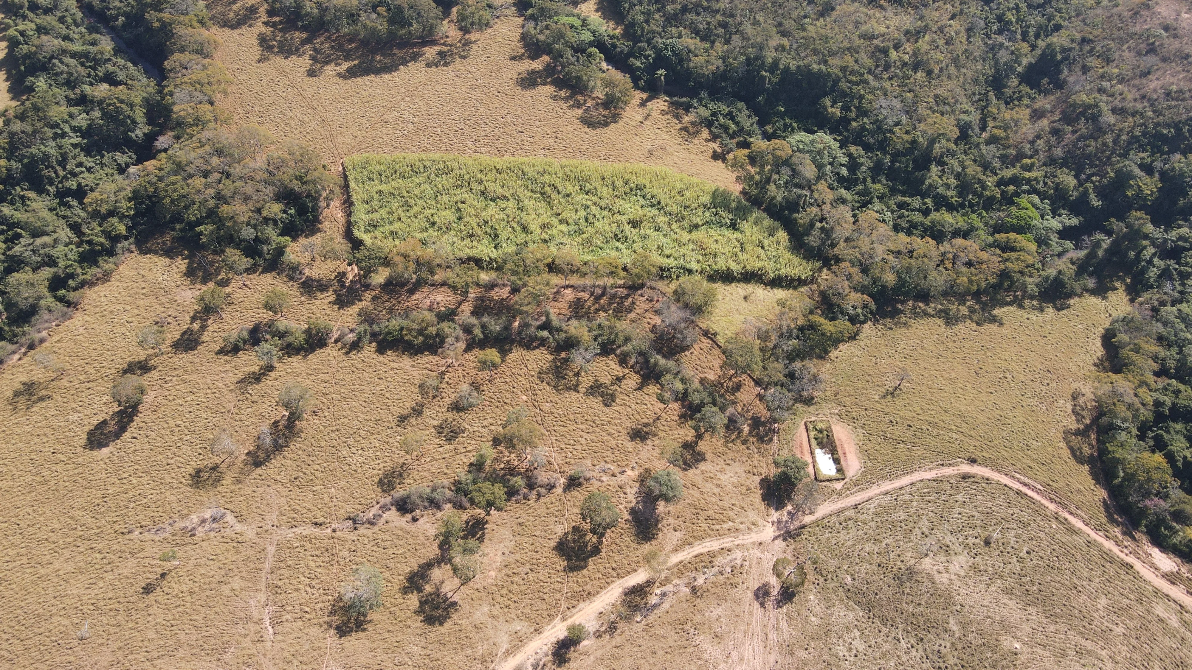 FAZENDA em PANTANO, PATOS DE MINAS - FA00190