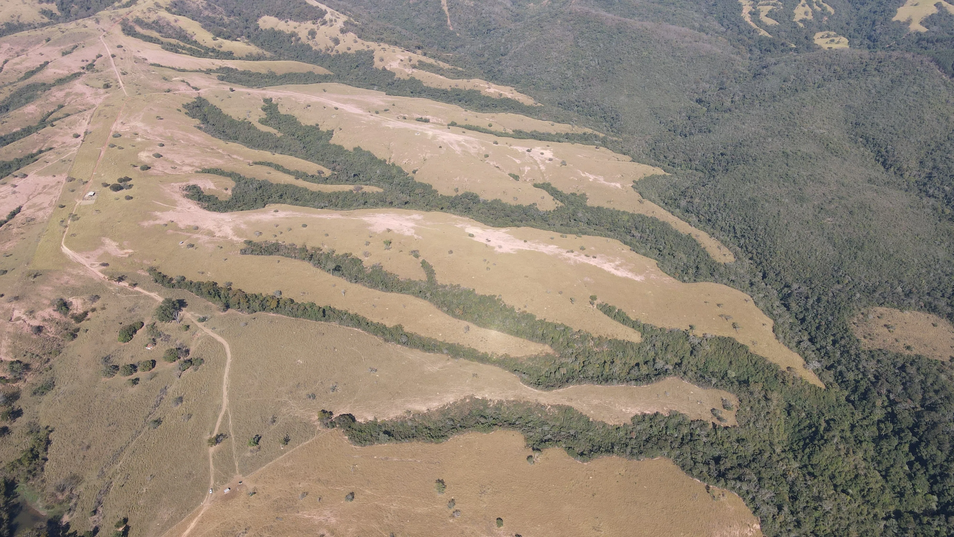 FAZENDA em PANTANO, PATOS DE MINAS - FA00190