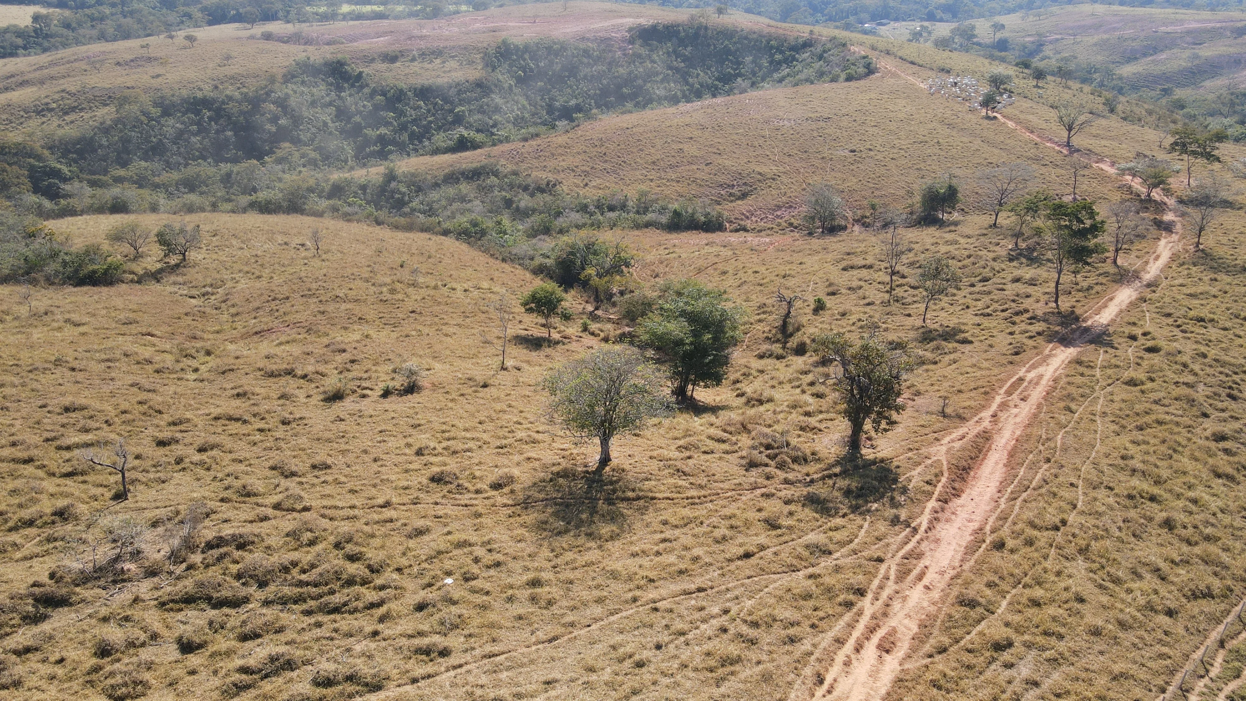 FAZENDA em PANTANO, PATOS DE MINAS - FA00190