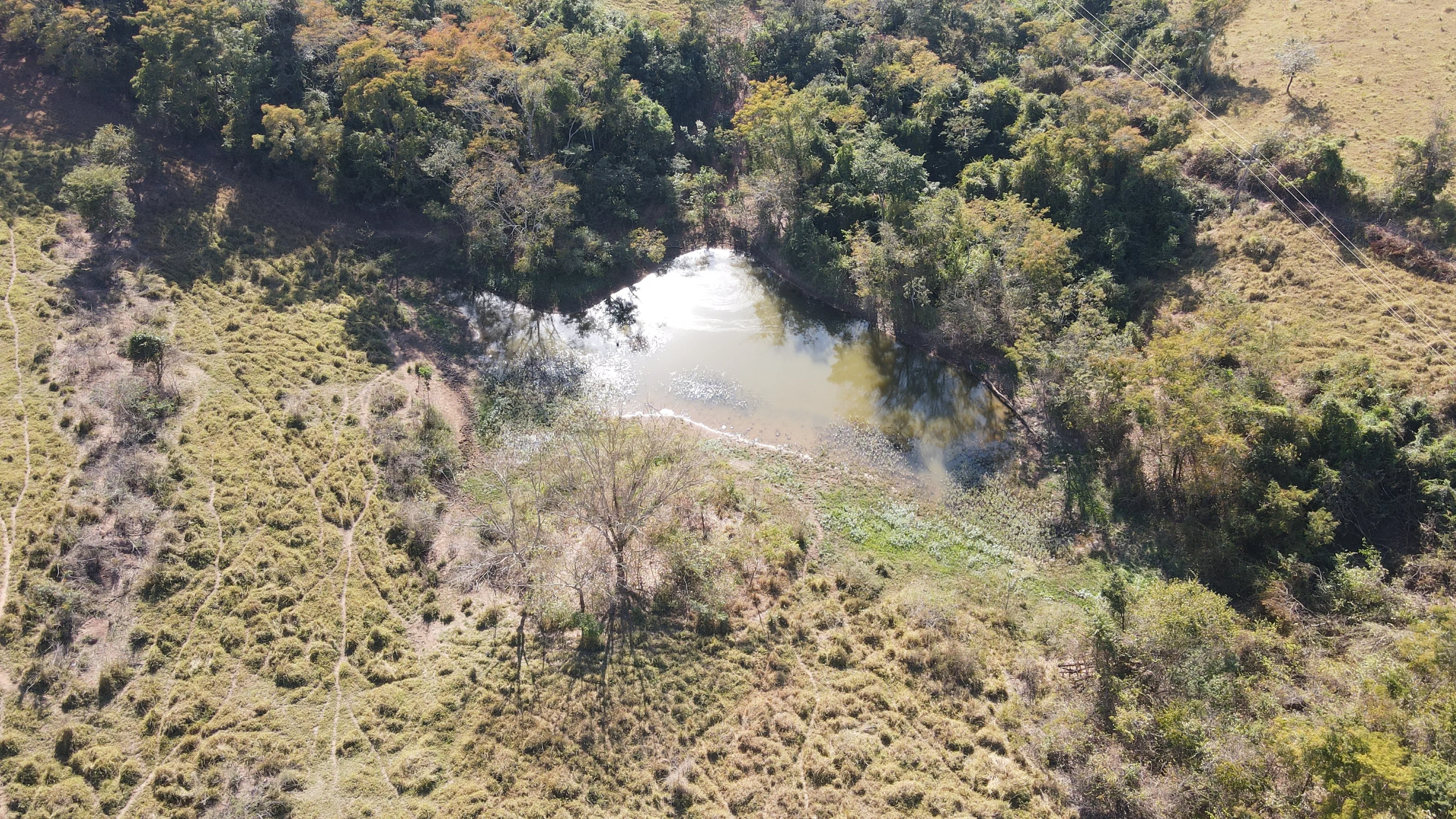 FAZENDA em PANTANO, PATOS DE MINAS - FA00190