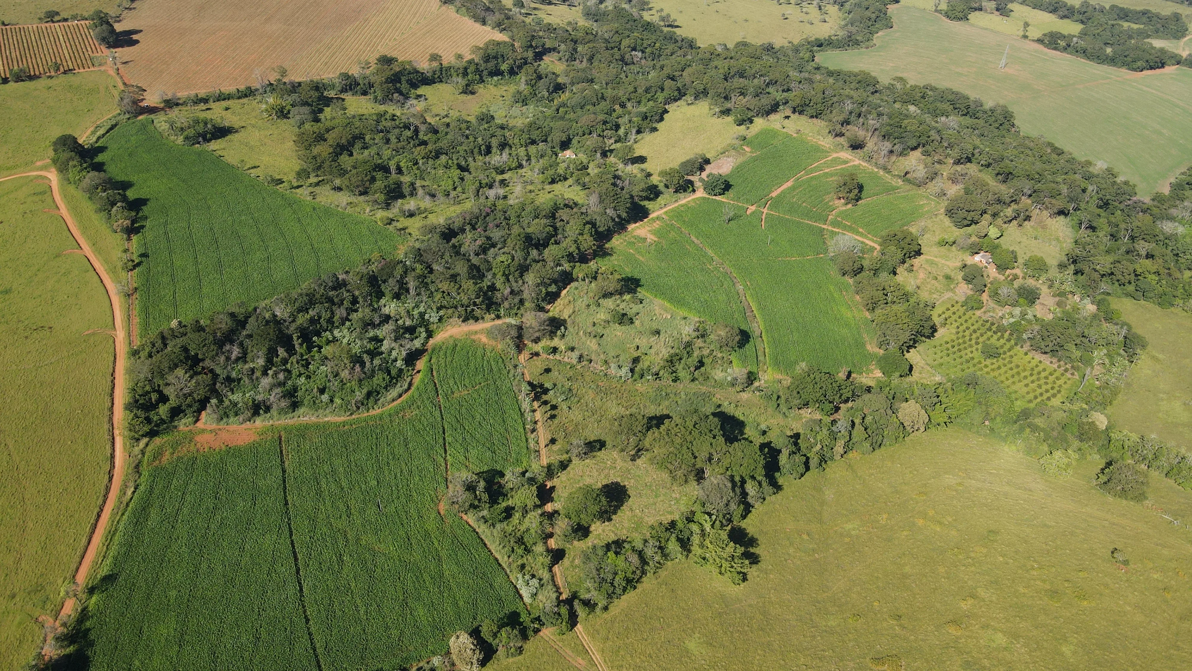 FAZENDA em SÃO BENEDITO, PATROCÍNIO - FA00212