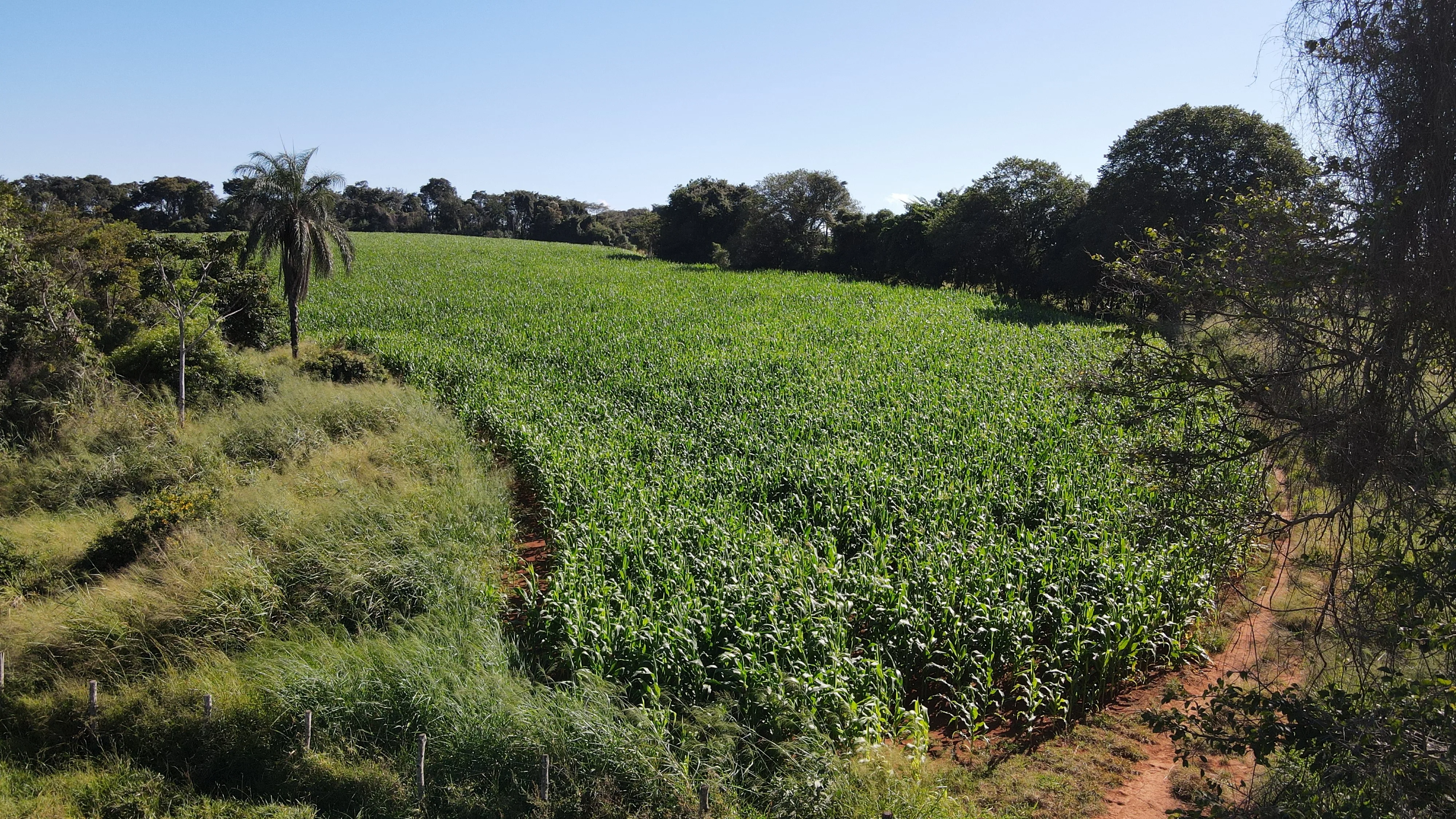 FAZENDA em SÃO BENEDITO, PATROCÍNIO - FA00212