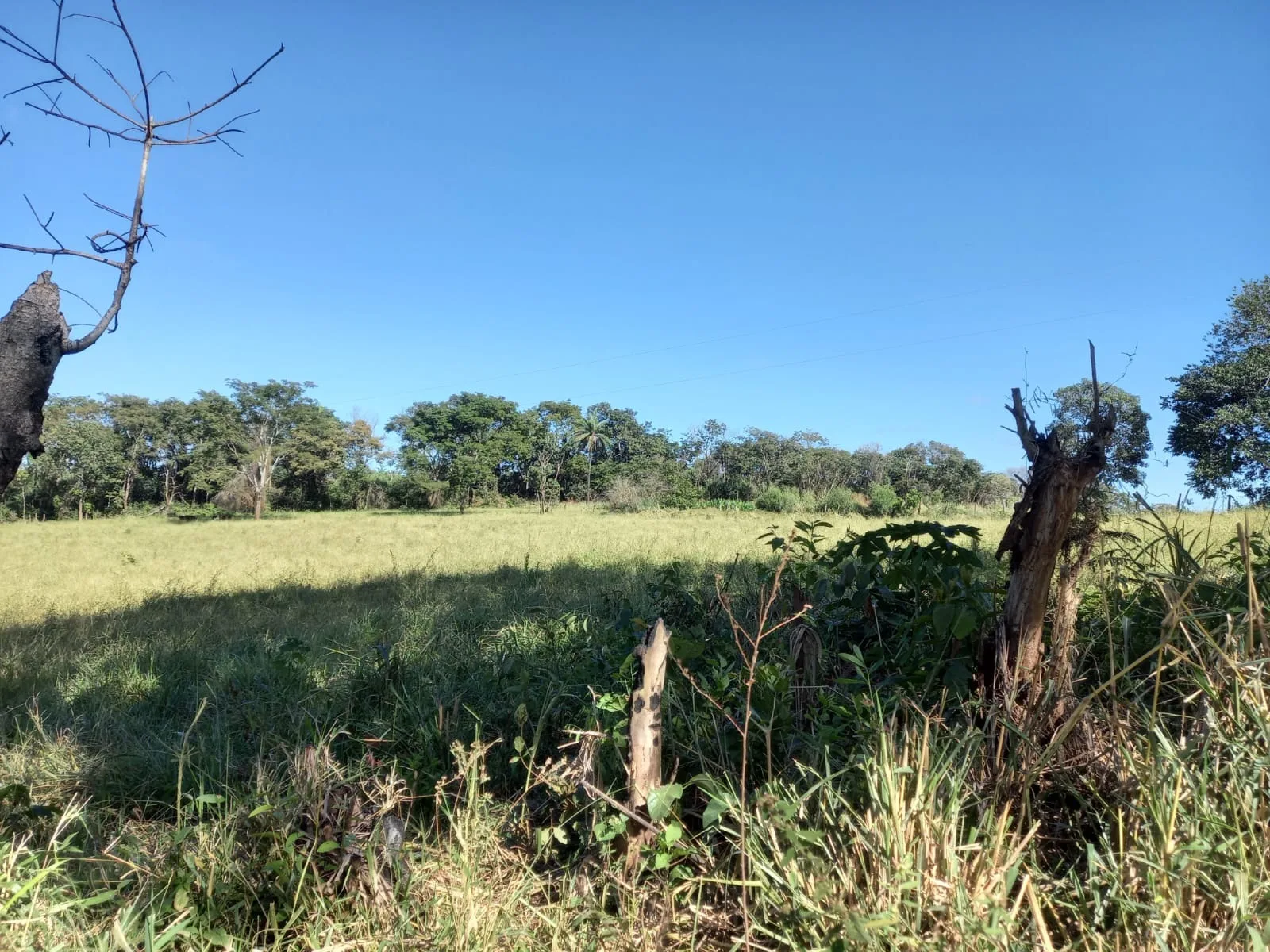 FAZENDA em SÃO BENEDITO, PATROCÍNIO - FA00212