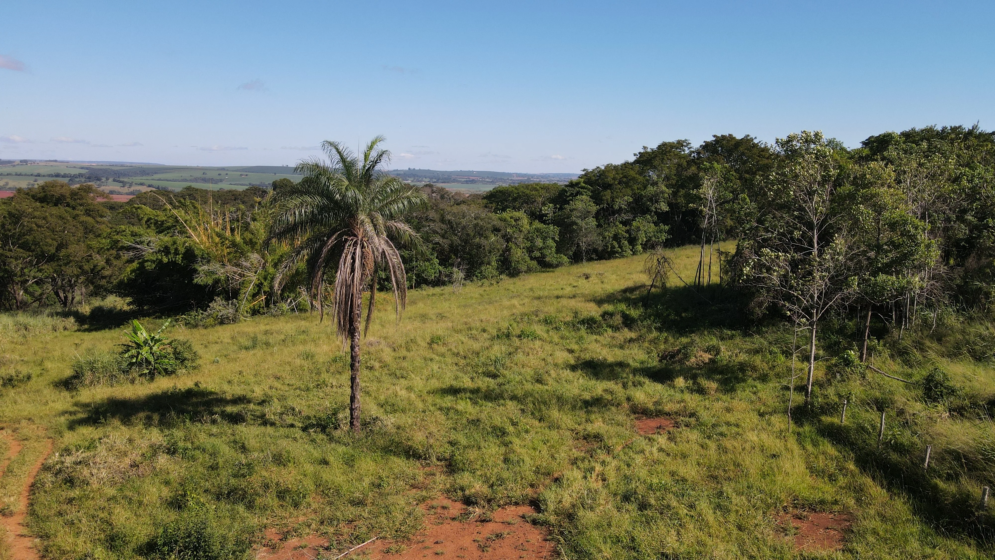 FAZENDA em SÃO BENEDITO, PATROCÍNIO - FA00212