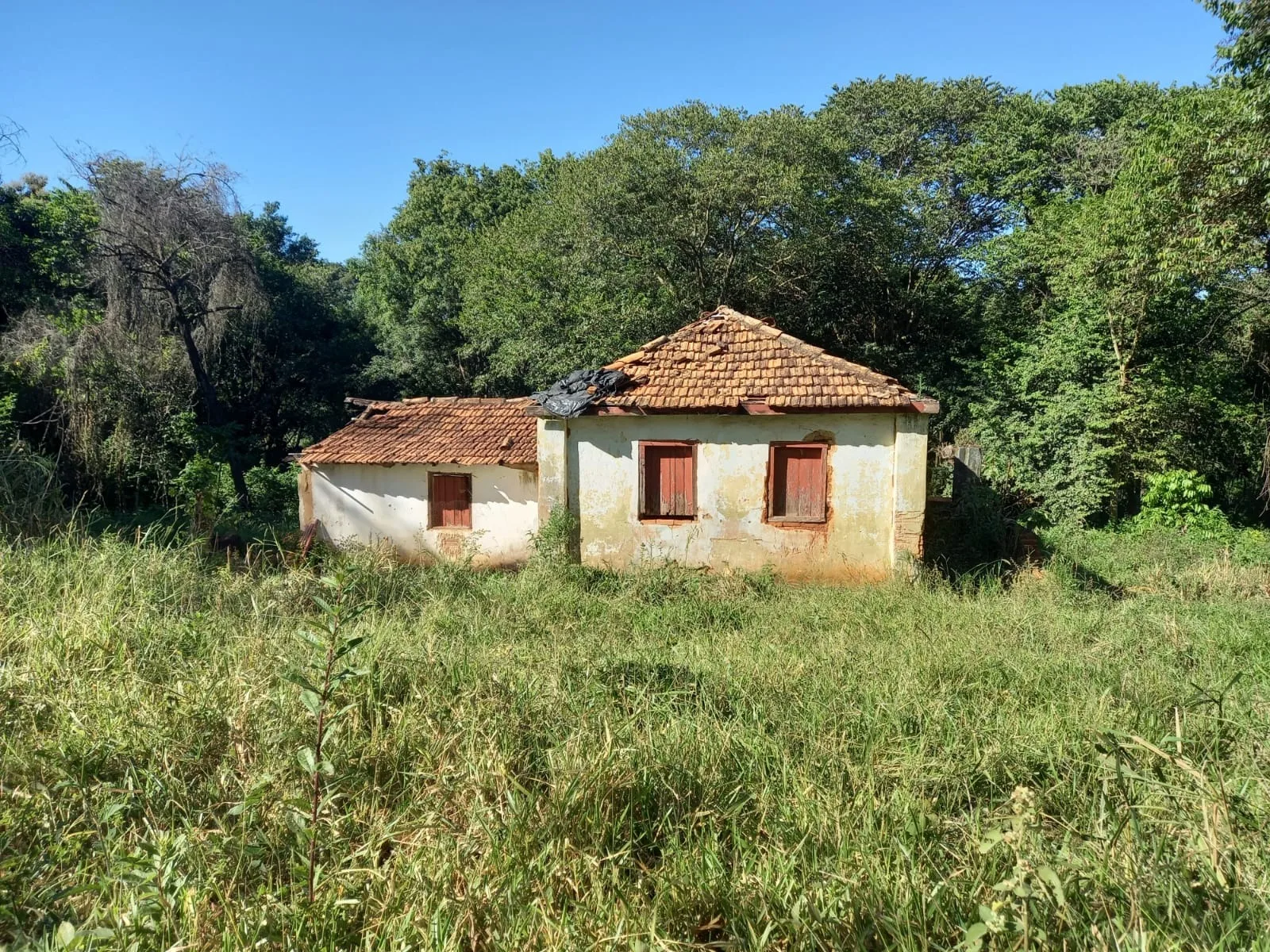 FAZENDA em SÃO BENEDITO, PATROCÍNIO - FA00212
