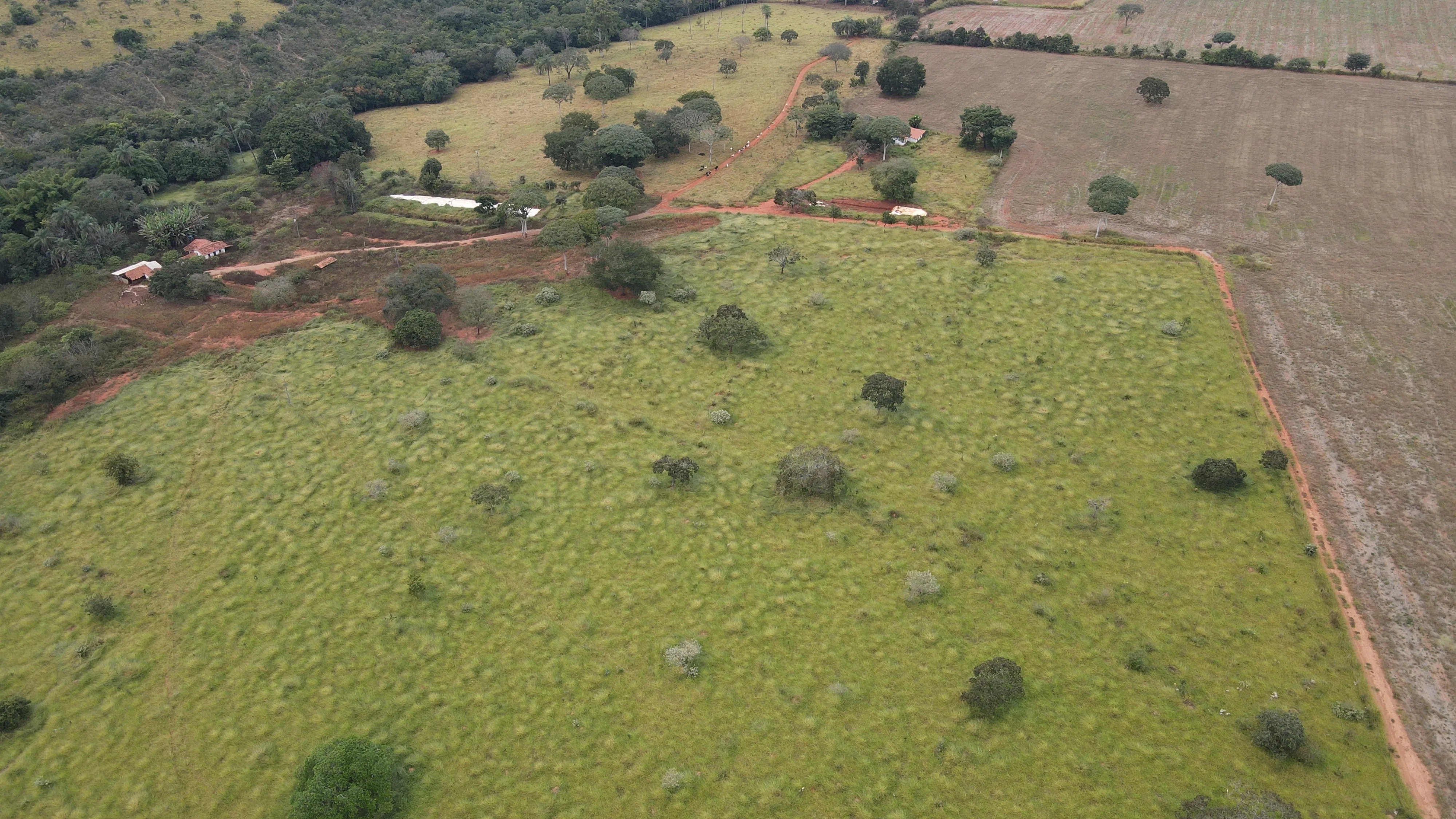 FAZENDA em ZONA RURAL DE COROMANDEL, COROMANDEL - FA00213