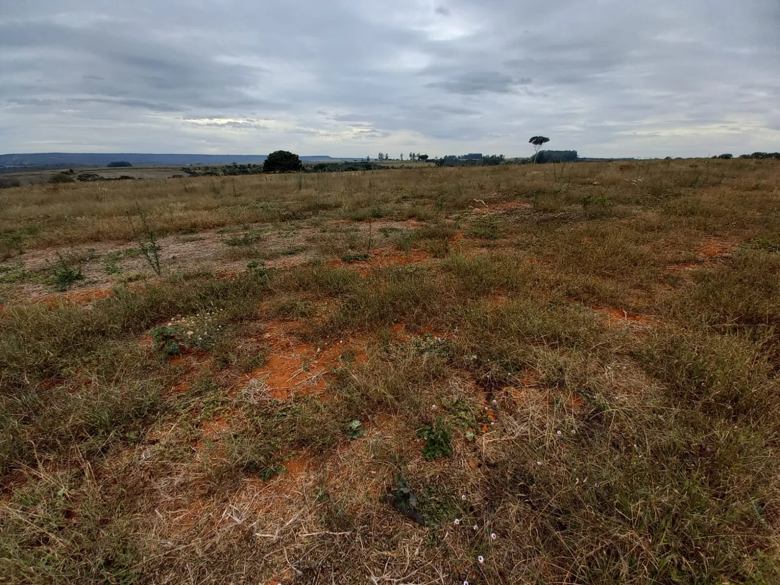 FAZENDA em ZONA RURAL DE COROMANDEL, COROMANDEL - FA00213