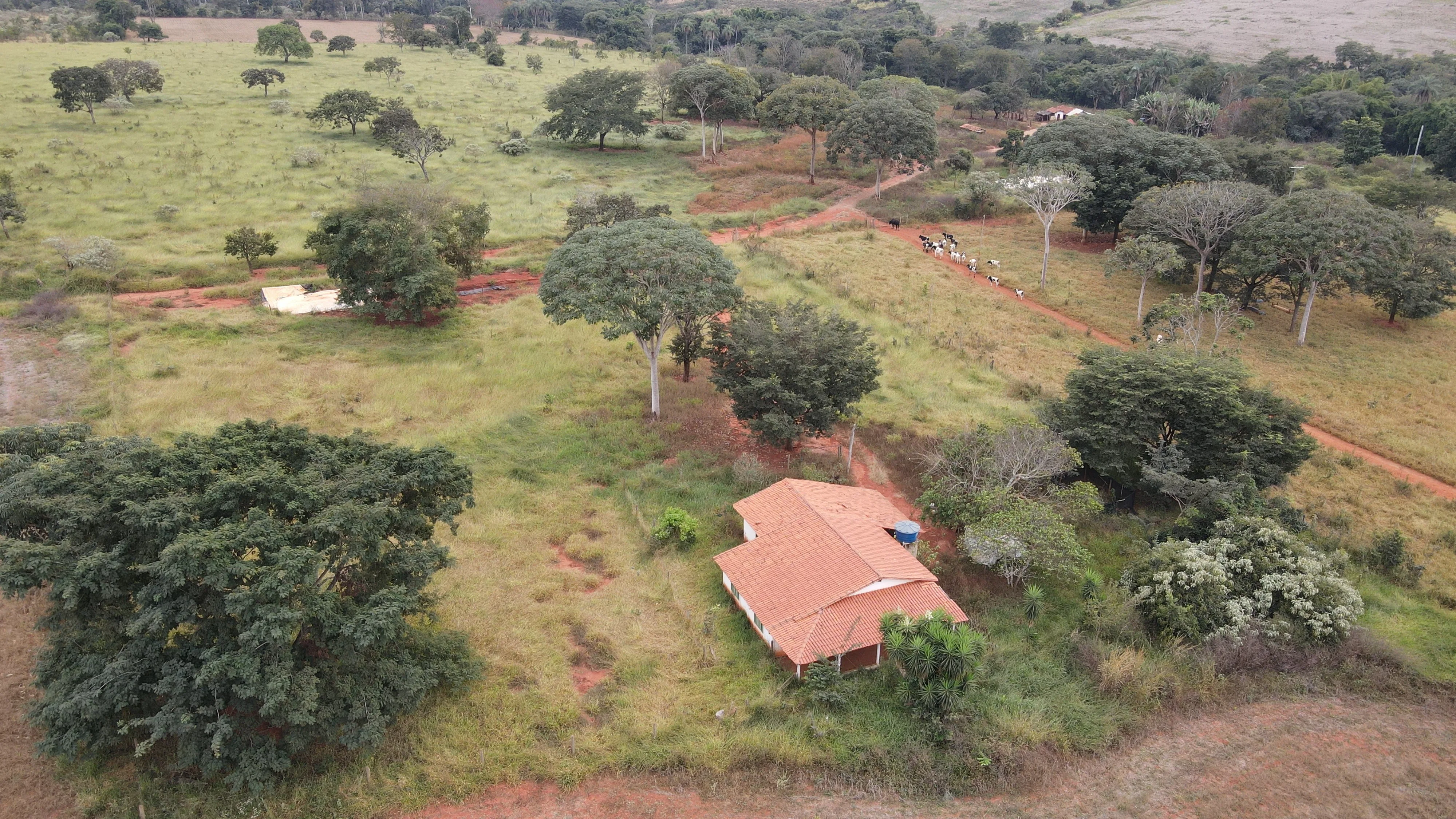 FAZENDA em ZONA RURAL DE COROMANDEL, COROMANDEL - FA00213