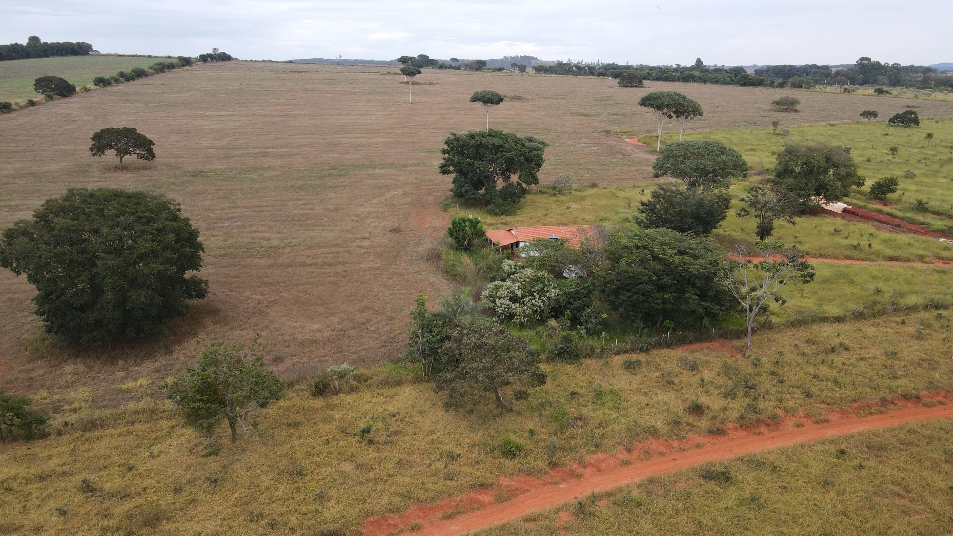 FAZENDA em ZONA RURAL DE COROMANDEL, COROMANDEL - FA00213