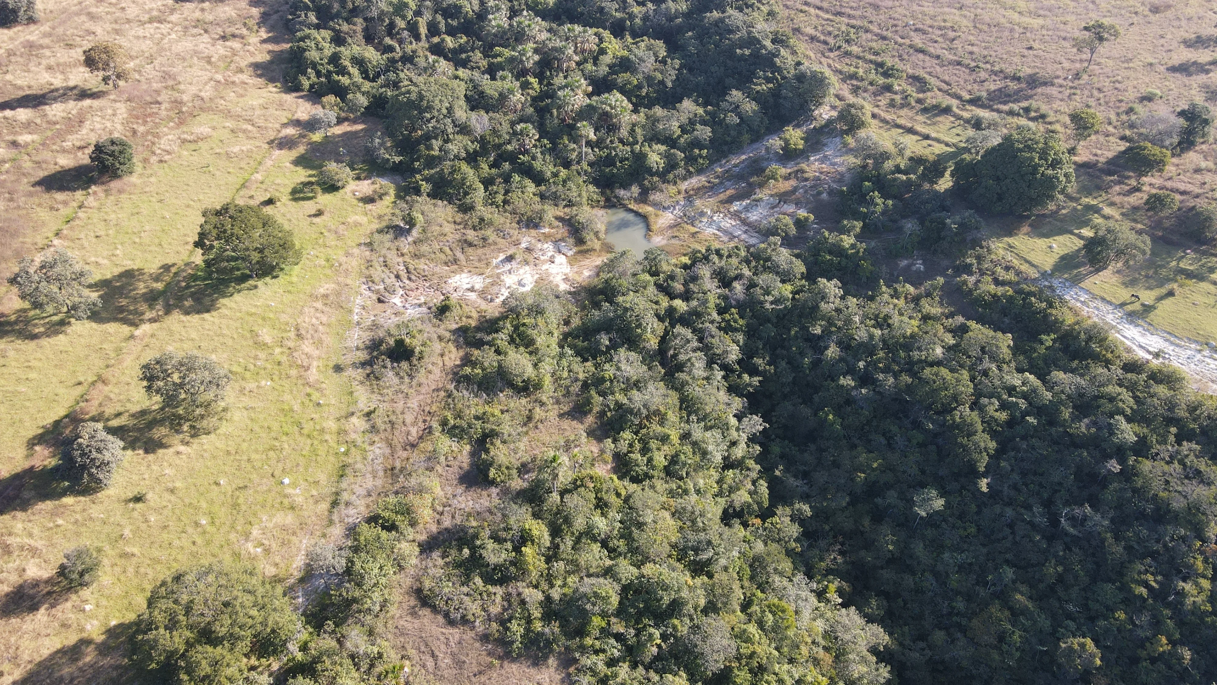 FAZENDA em ZONA RURAL DE PRESIDENTE OLEGÁRIO, PRESIDENTE OLEGÁRIO - FA00211