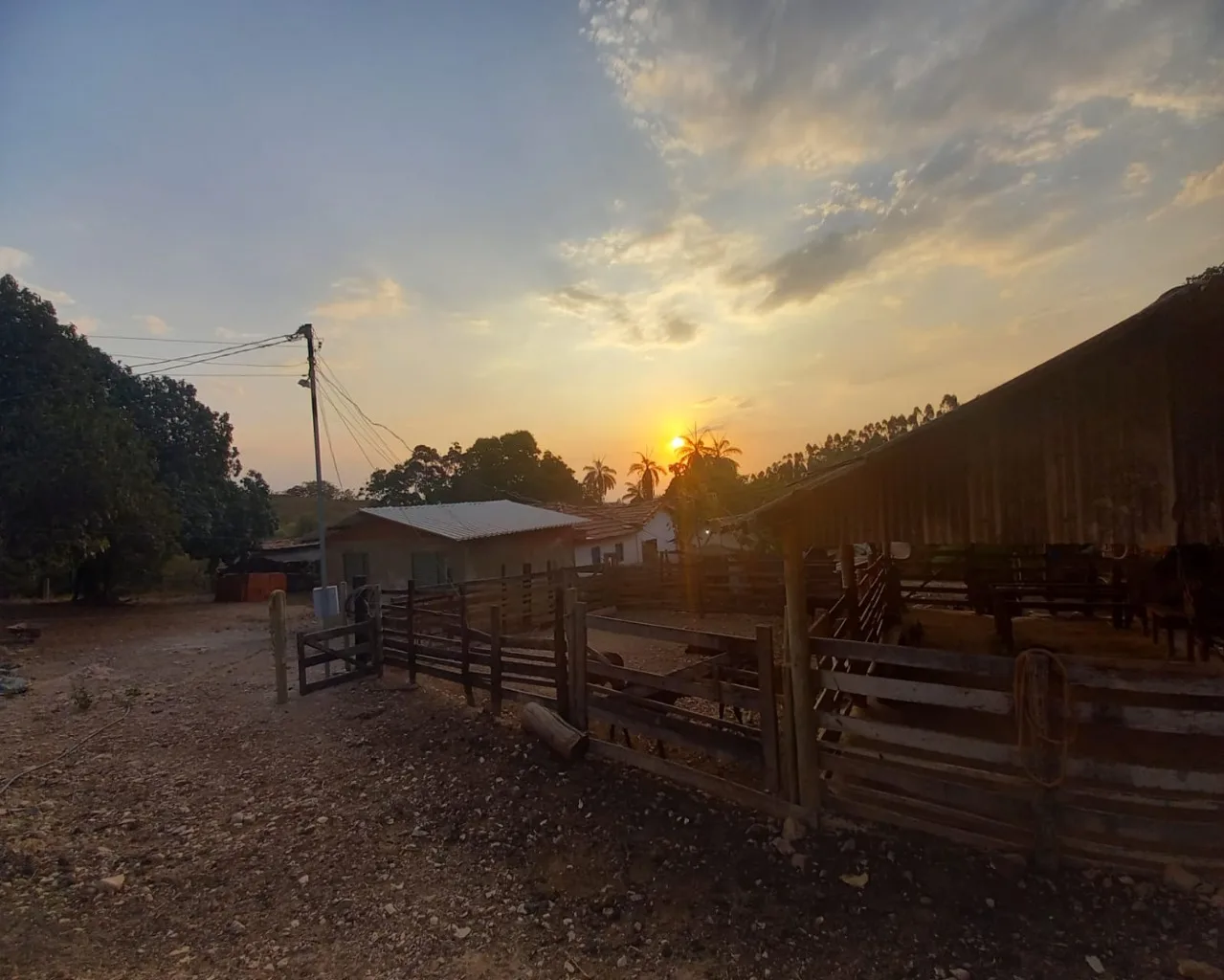 Fazenda Santa Rosa Dos Dourados Coromandel- Mg