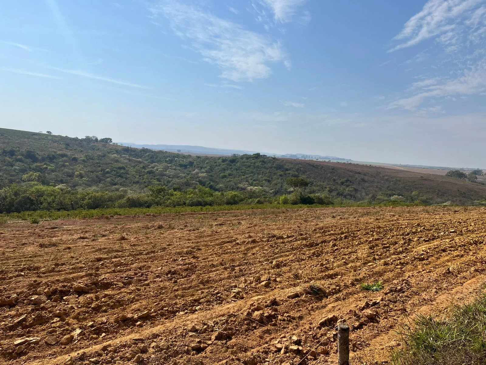 Fazenda Com Café Na Região De Santa Luzia Dos Barros