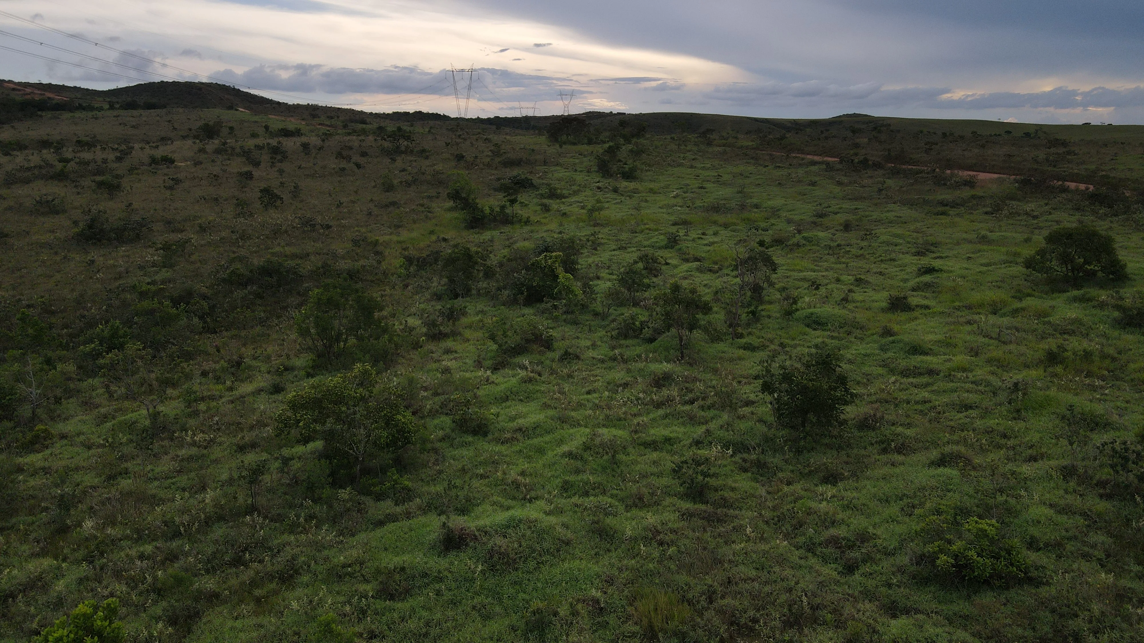 Fazenda De Oportunidade - Altitude Ideal Para Cultivo De Café