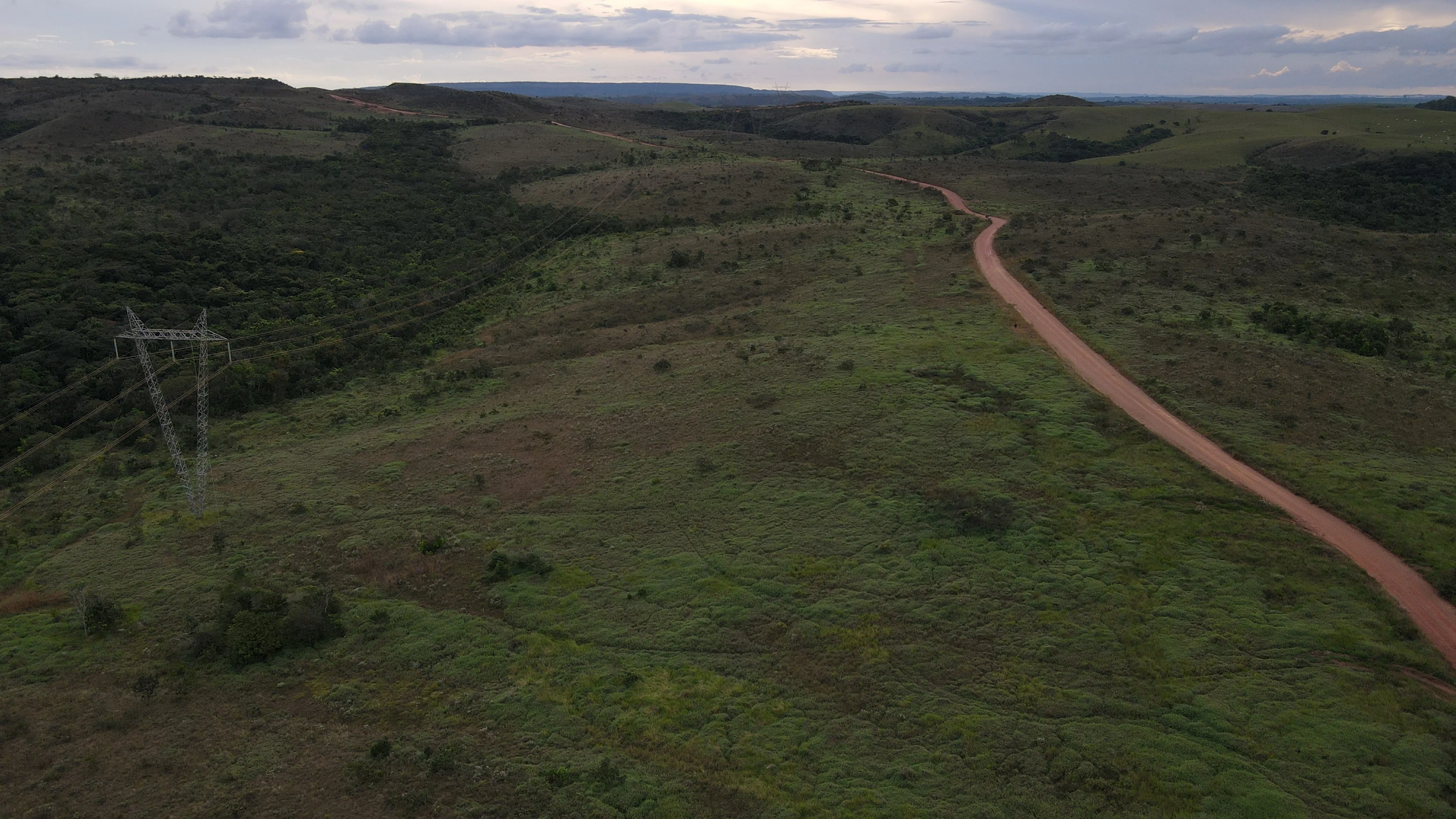 Fazenda De Oportunidade - Altitude Ideal Para Cultivo De Café