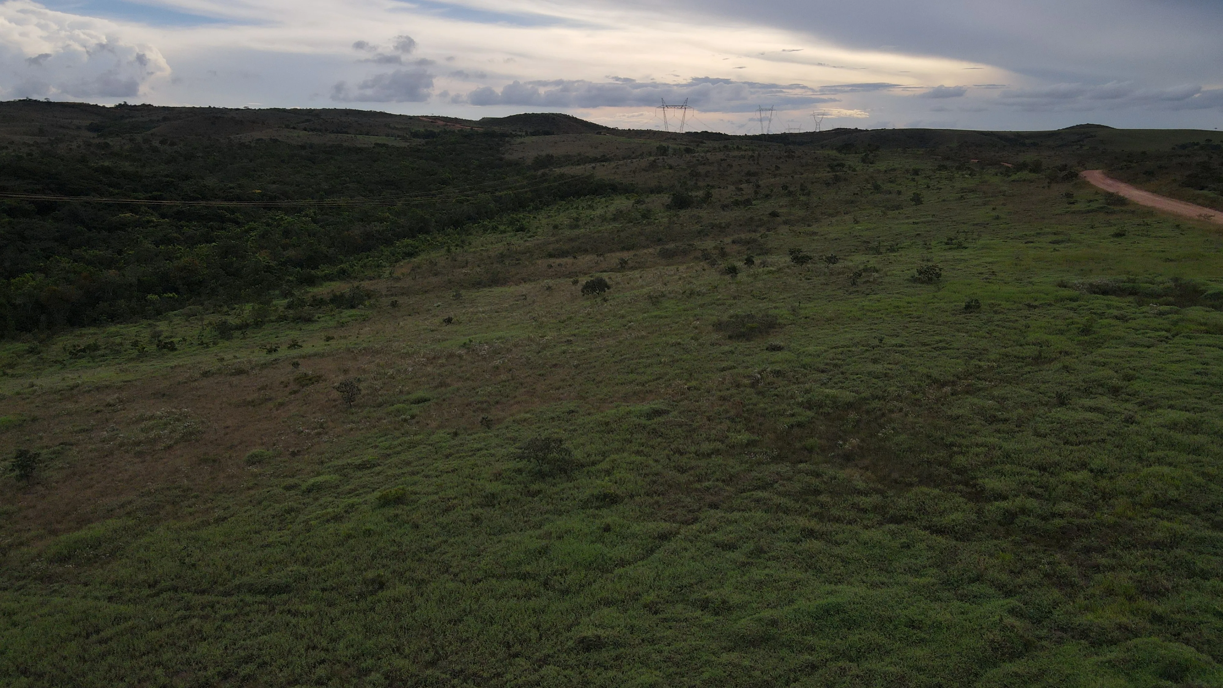 Fazenda De Oportunidade - Altitude Ideal Para Cultivo De Café