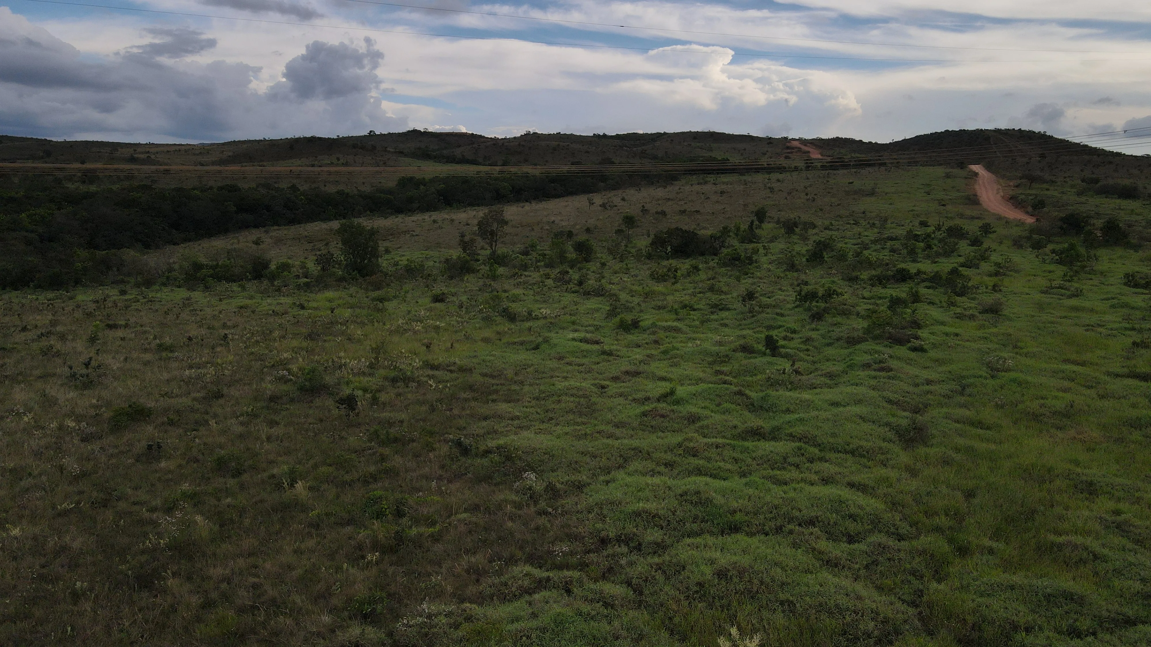 Fazenda De Oportunidade - Altitude Ideal Para Cultivo De Café