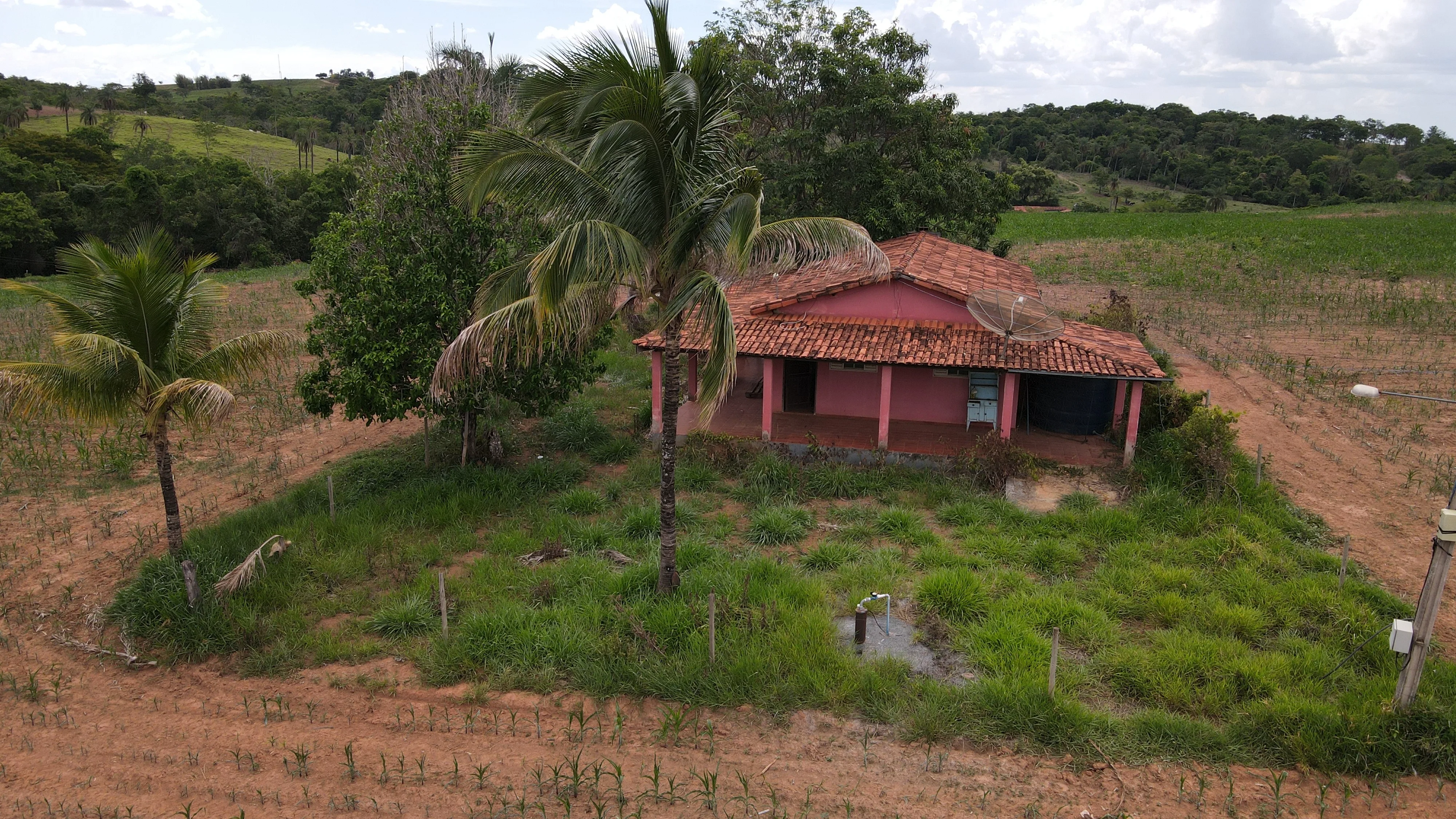 Fazenda Para Plantio Na Região De Silvano, Em Patrocínio/Mg.