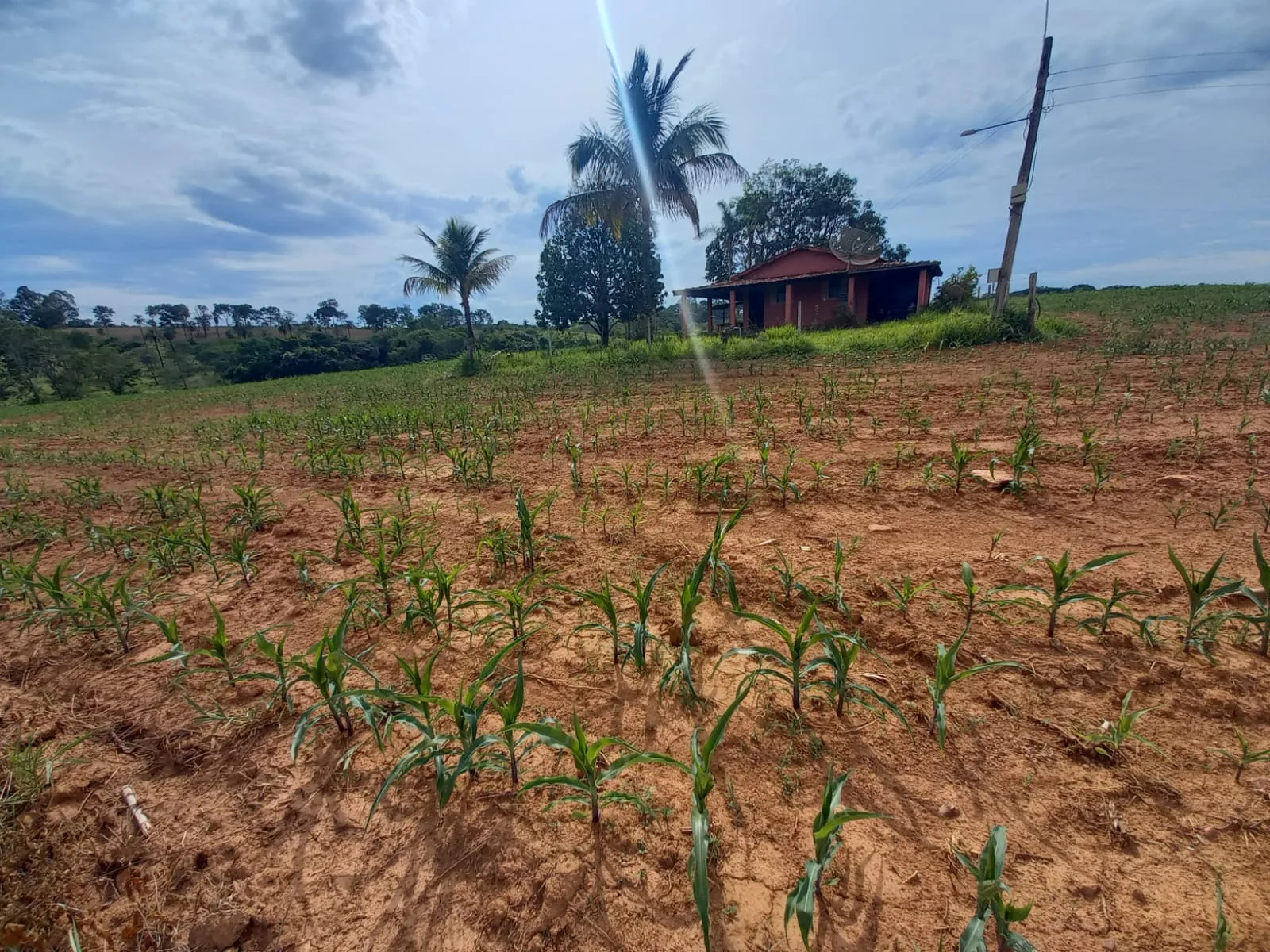 Fazenda Para Plantio Na Região De Silvano, Em Patrocínio/Mg.