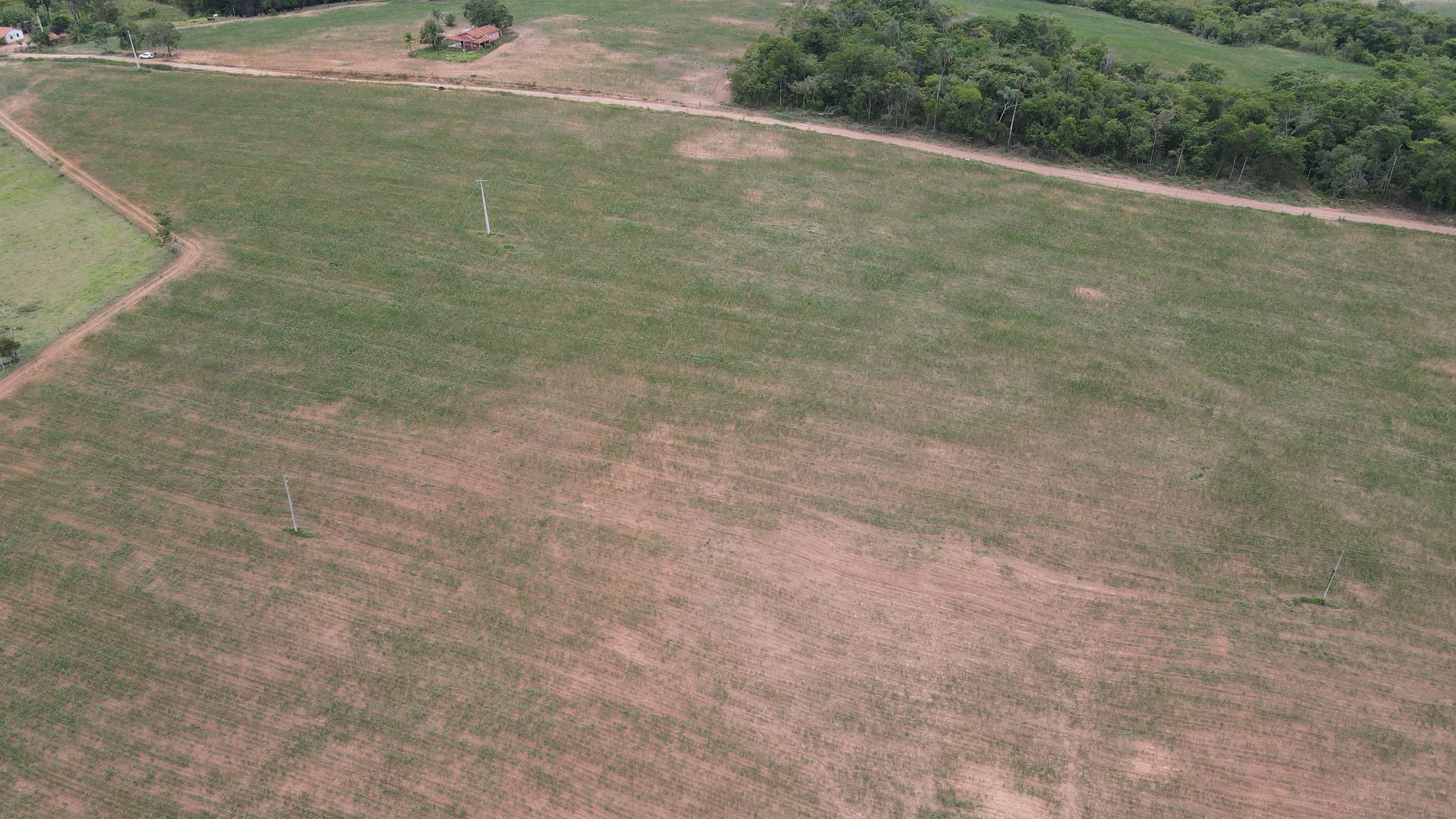 Fazenda Para Plantio Na Região De Silvano, Em Patrocínio/Mg.